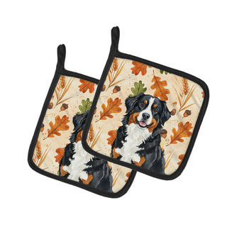 Caroline's Treasures Bernese Mountain Dog Heirloom Fall Pair of Pot Holders