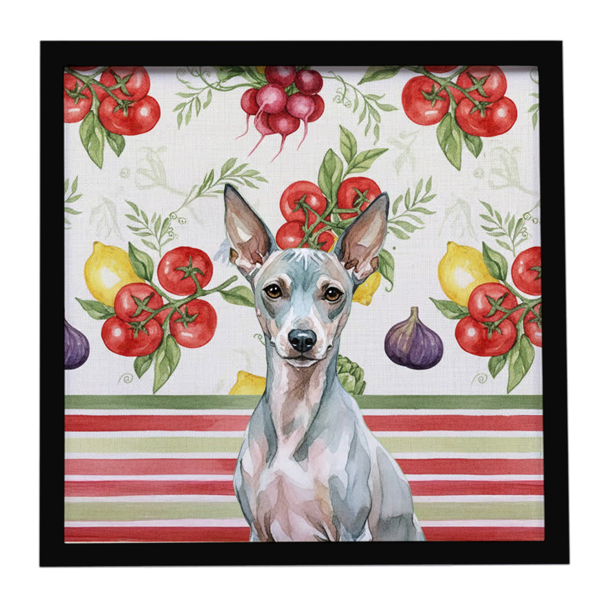 Caroline's Treasures American Hairless Terrier Vegetables Framed Metal Print