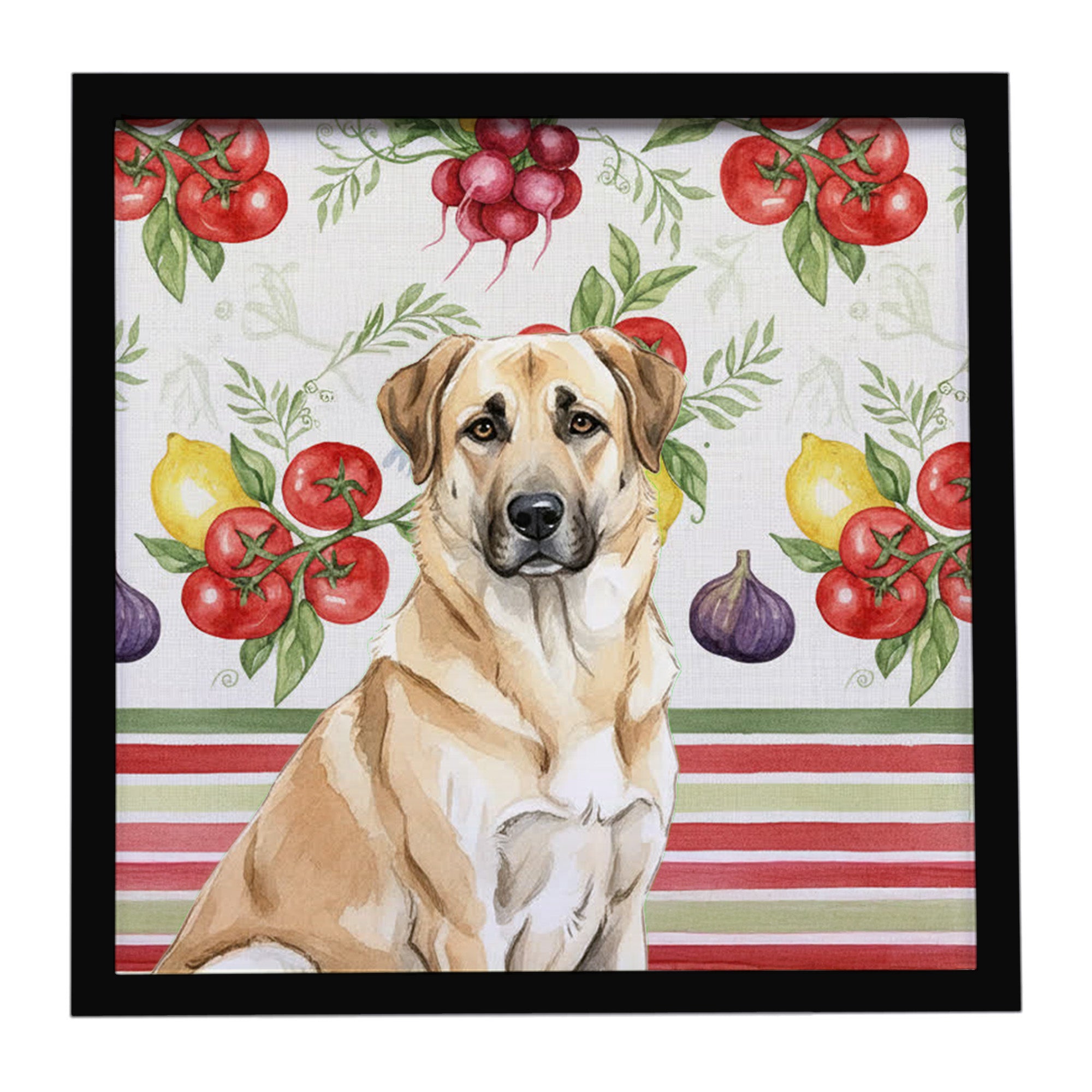 Caroline's Treasures Anatolian Shepherd Dog Vegetables Framed Metal Print