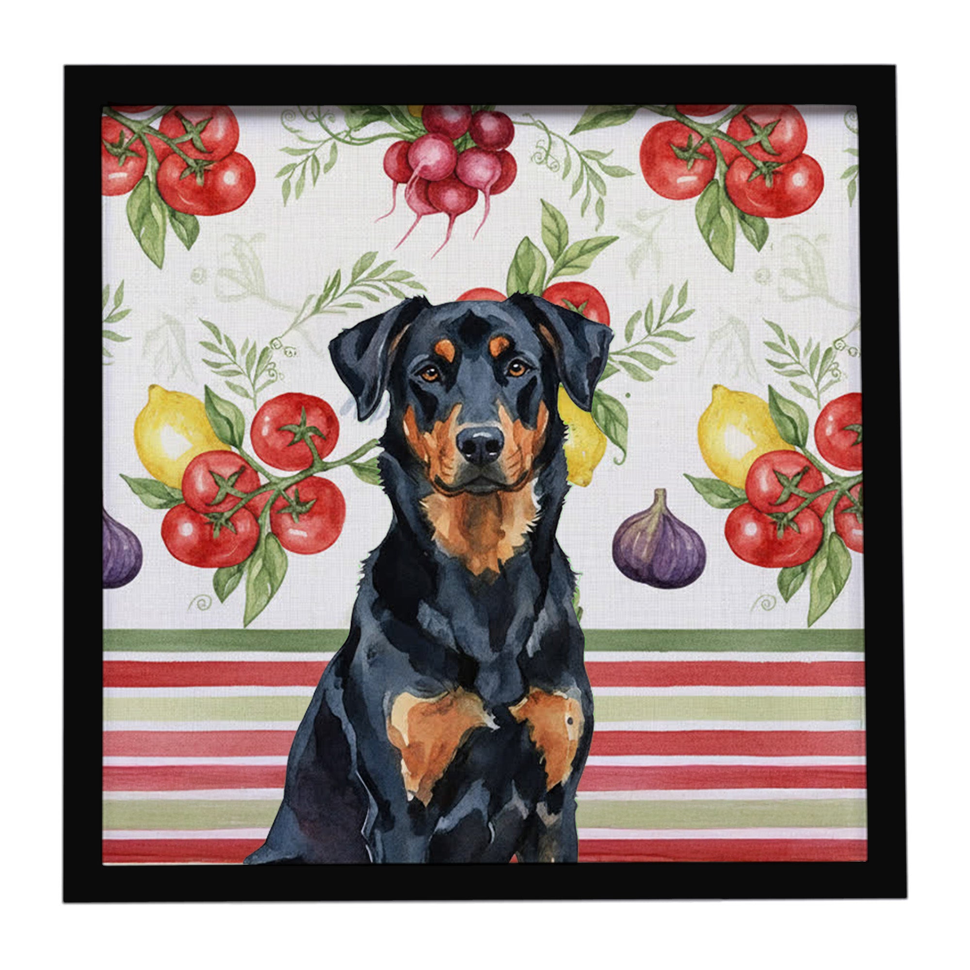 Caroline's Treasures Beauceron Vegetables Framed Metal Print