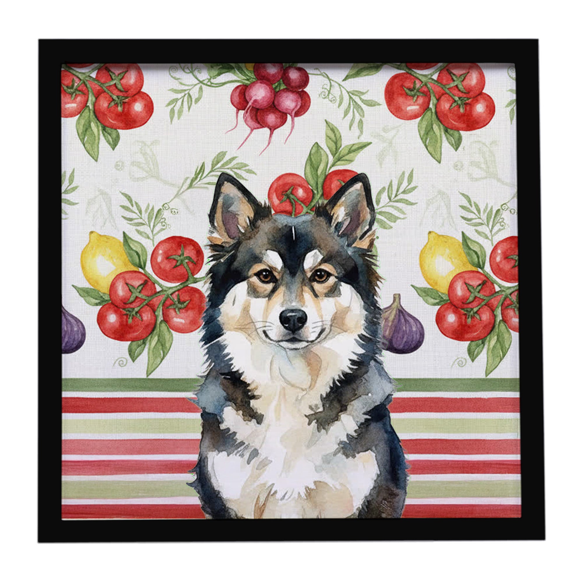 Caroline's Treasures Finnish Lapphund Vegetables Framed Metal Print