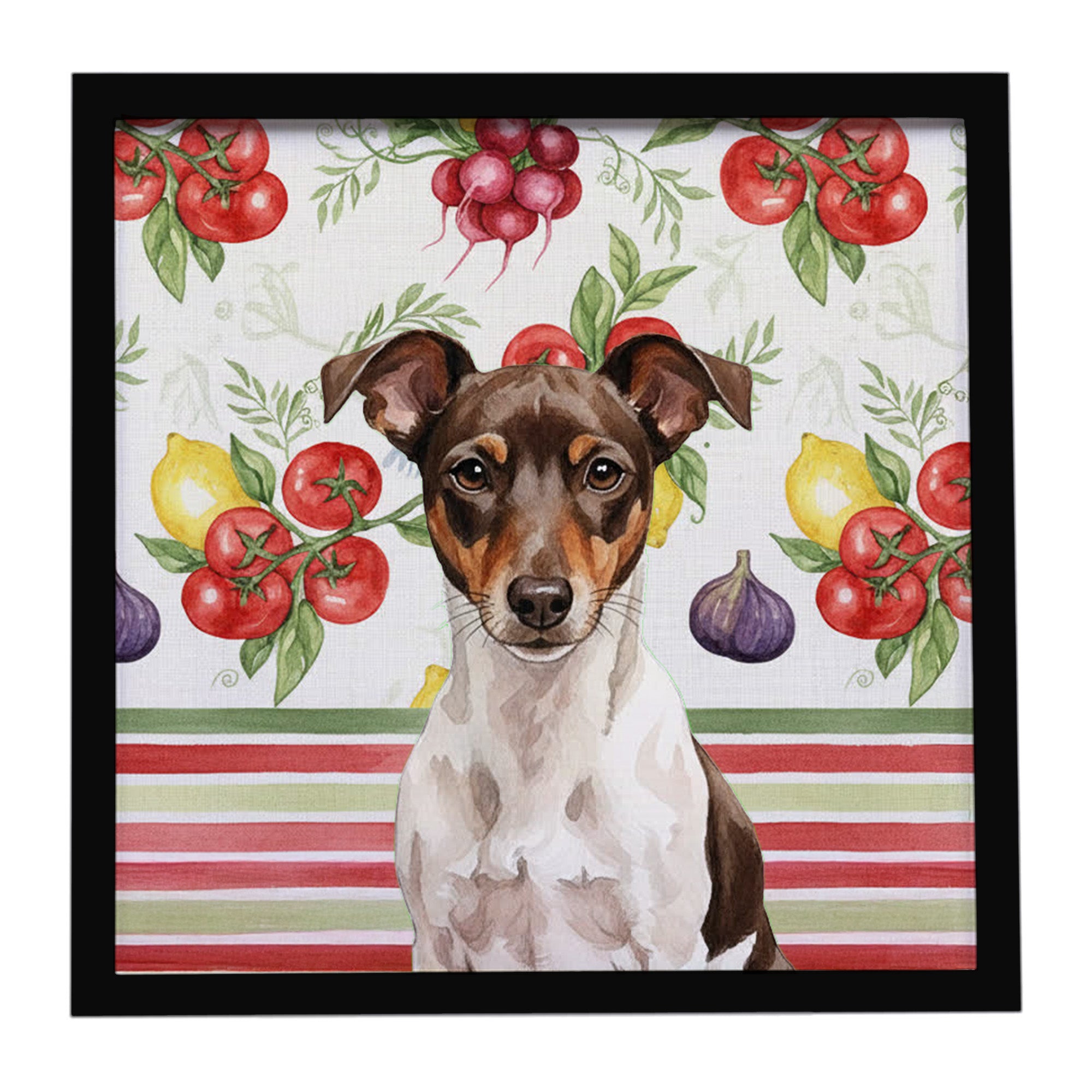 Caroline's Treasures Chocolate and White Rat Terrier Vegetables Framed Metal Print