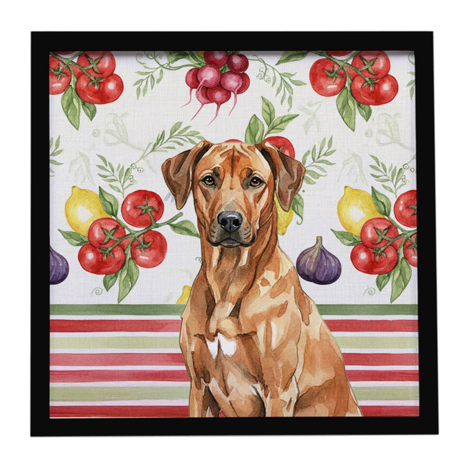 Caroline's Treasures Rhodesian Ridgeback Vegetables Framed Metal Print