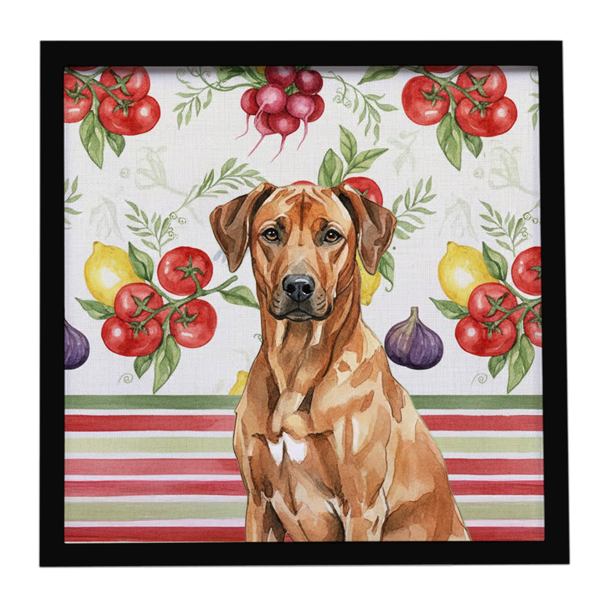 Caroline's Treasures Rhodesian Ridgeback Vegetables Framed Metal Print