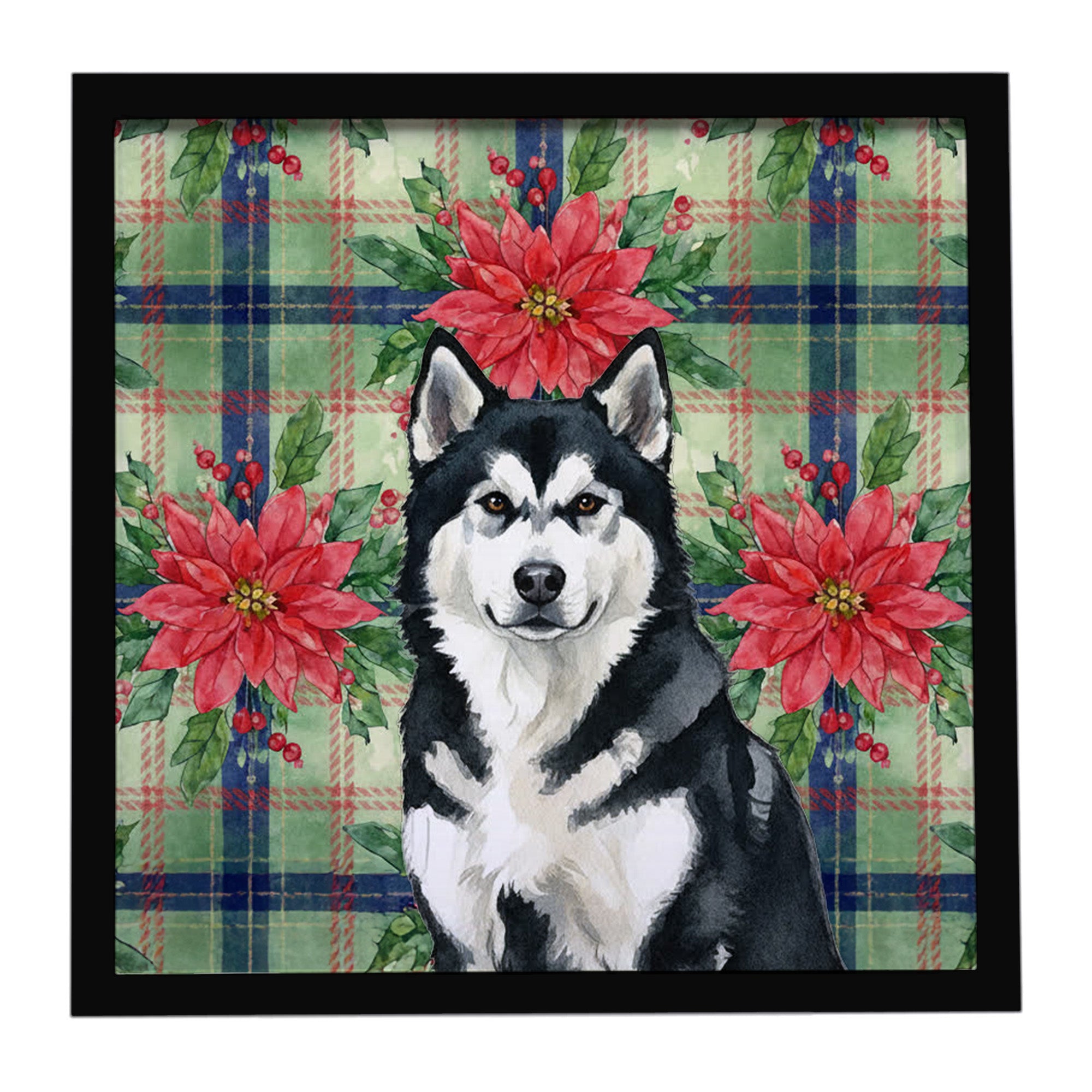 Caroline's Treasures Black and White Alaskan Malamute Christmas PoinsettIas Framed Metal Print