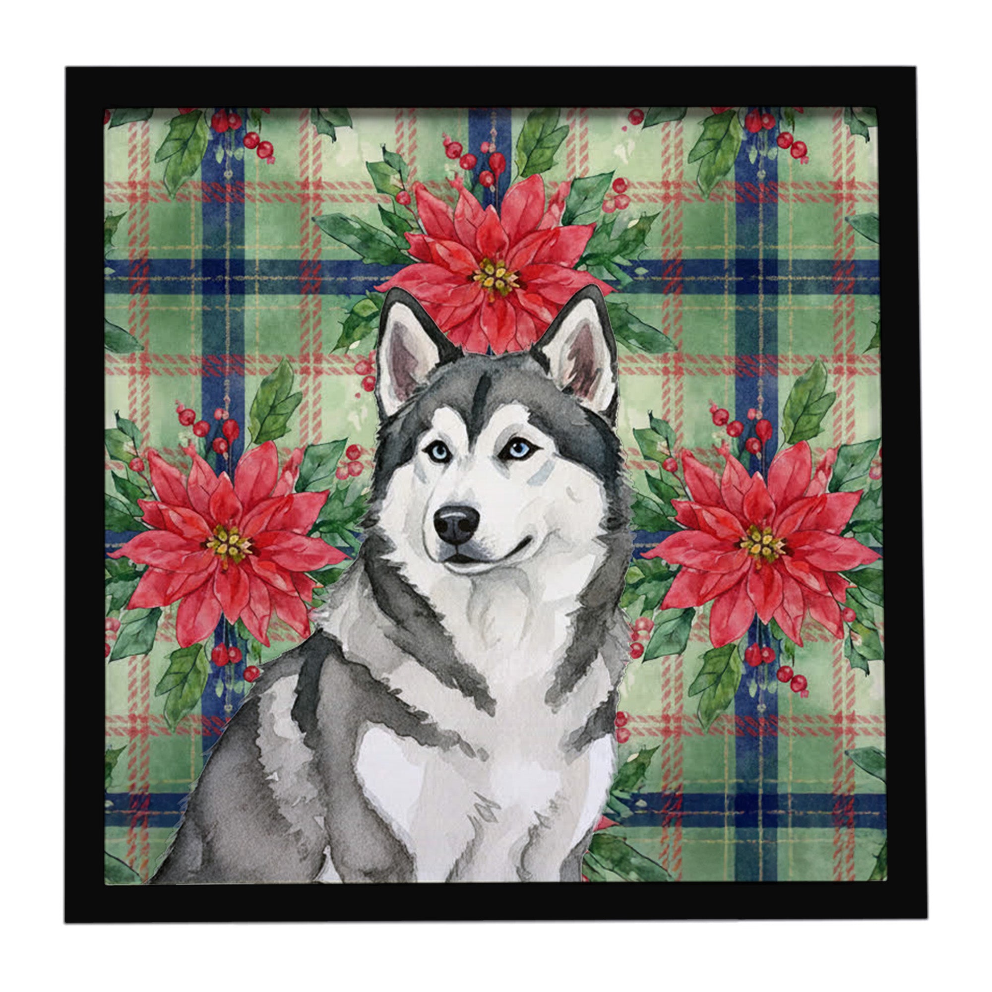 Caroline's Treasures Gray and White Alaskan Malamute Christmas PoinsettIas Framed Metal Print