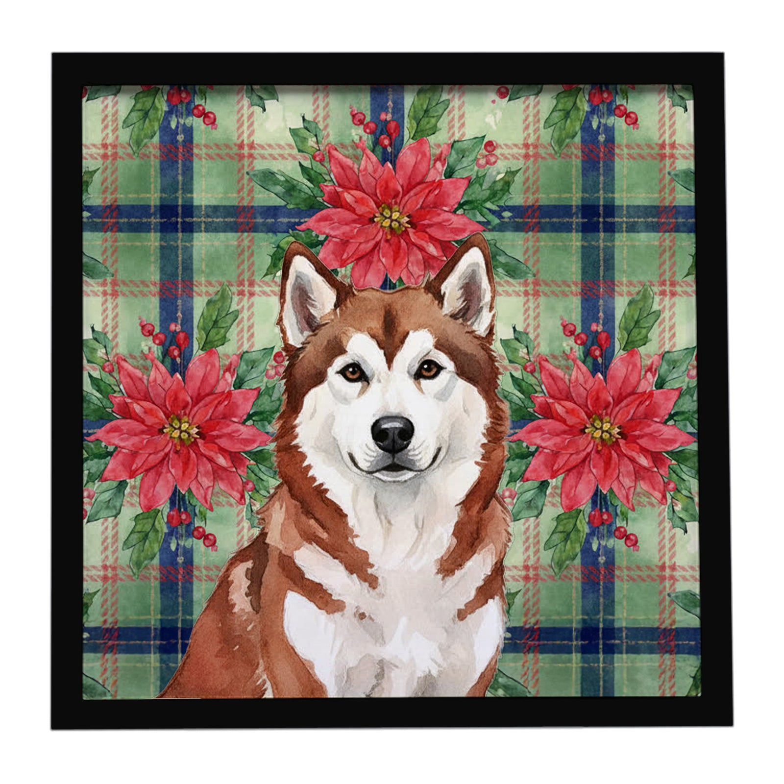 Caroline's Treasures Red and White Alaskan Malamute Christmas Poinsettas Framed Metal Print