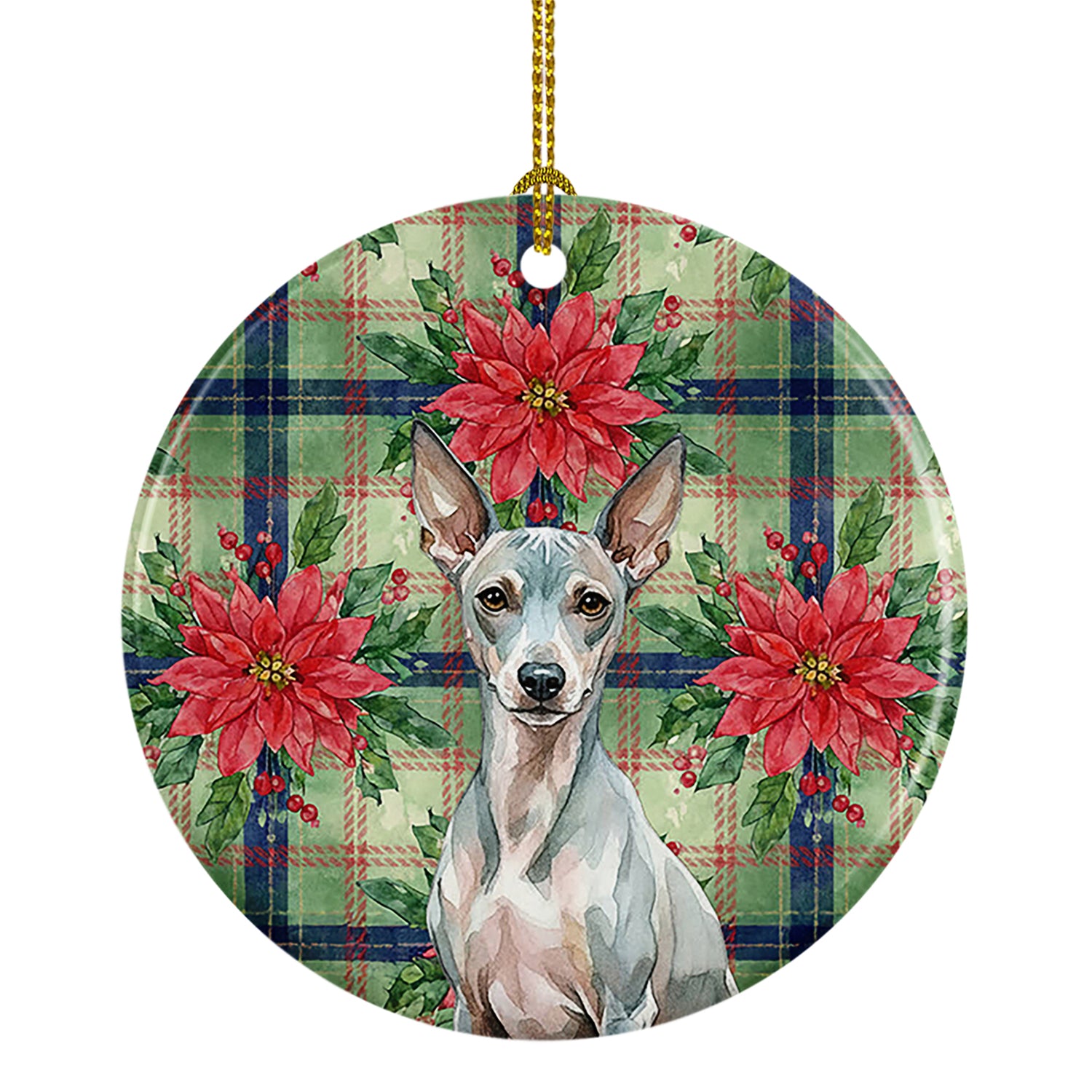 Caroline's Treasures American Hairless Terrier Christmas PoinsettIas Ceramic Ornament