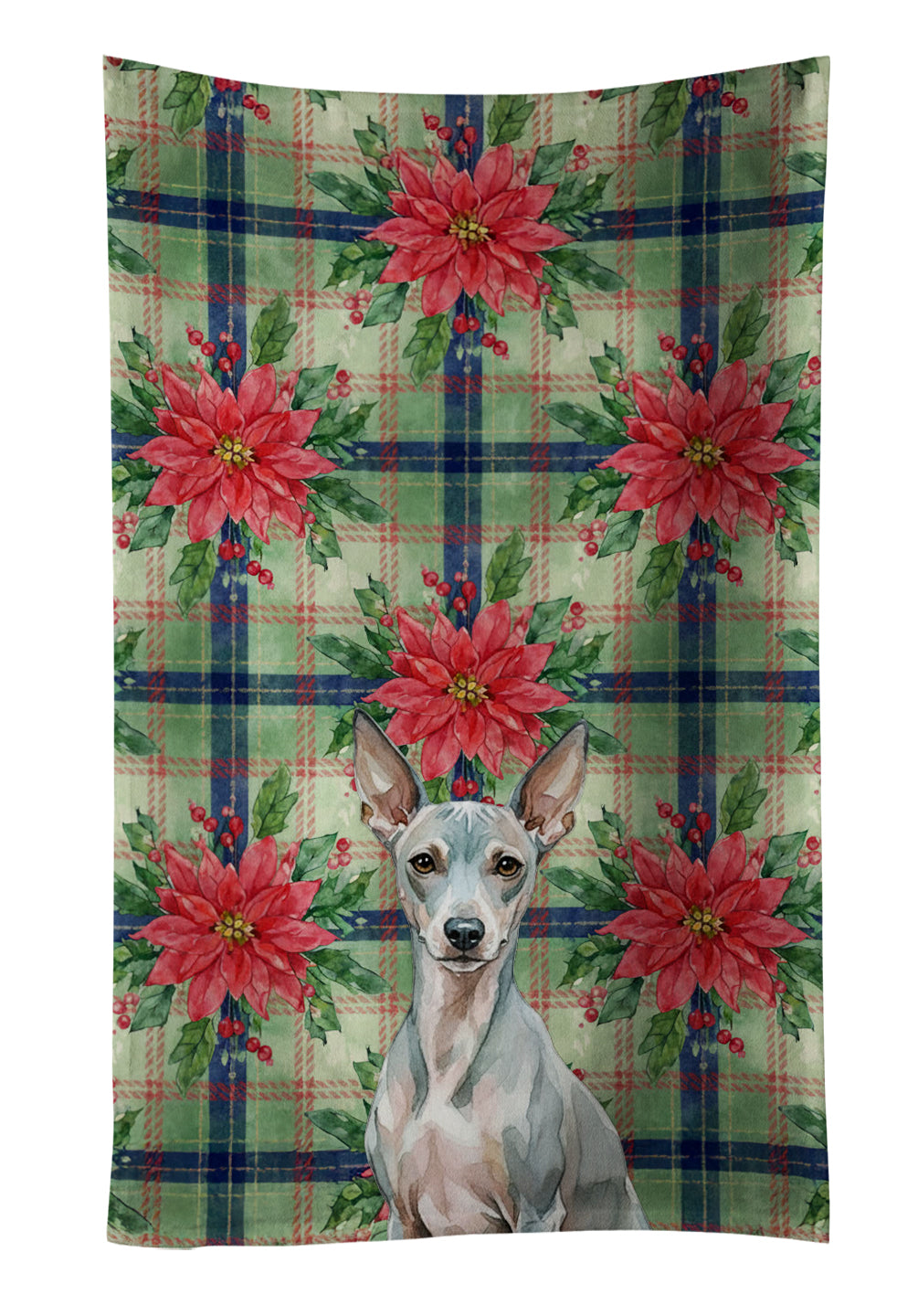 Caroline's Treasures American Hairless Terrier Christmas PoinsettIas Kitchen Towel