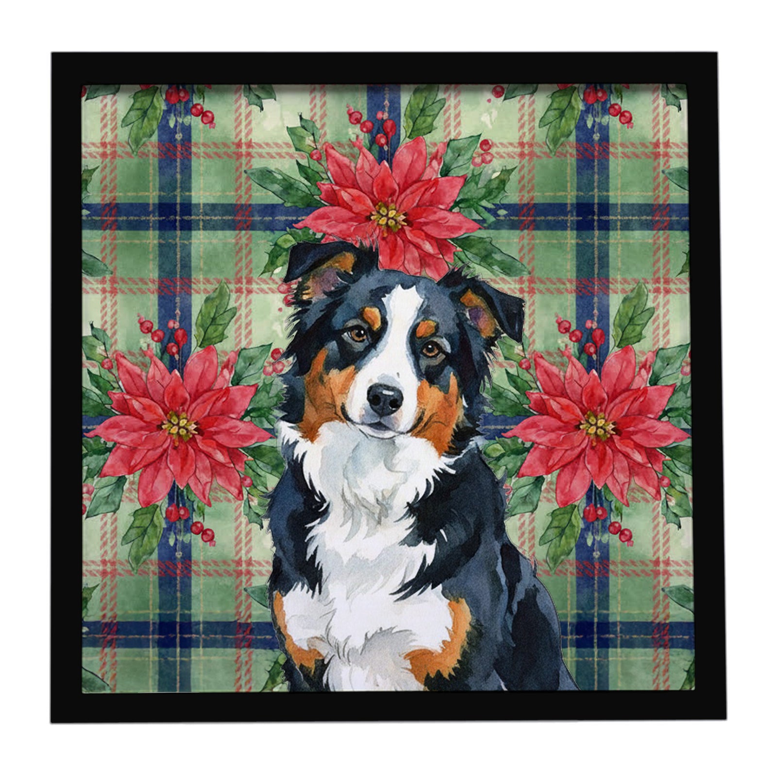 Caroline's Treasures Black Tri American Shepherd Christmas PoinsettIas Framed Metal Print