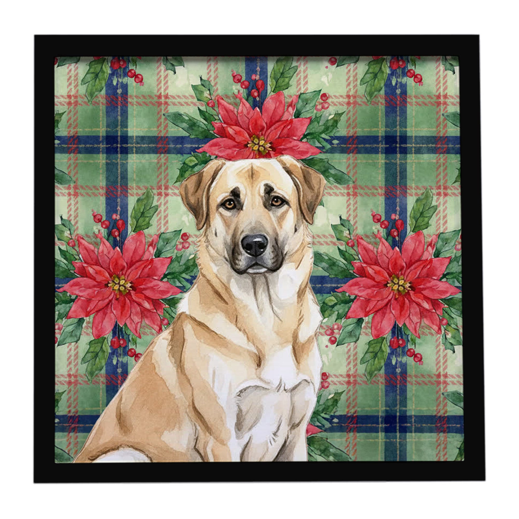 Caroline's Treasures Anatolian Shepherd Dog Christmas PoinsettIas Framed Metal Print