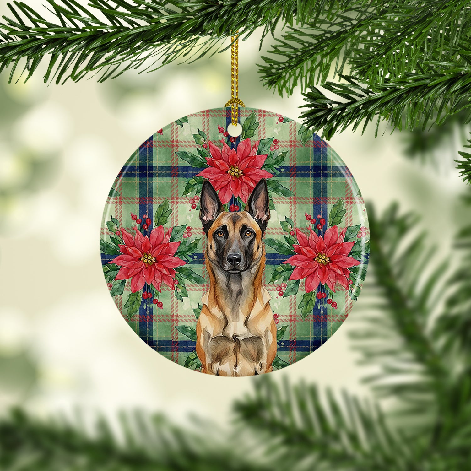 Caroline's Treasures Belgian Malinois Christmas PoinsettIas Ceramic Ornament