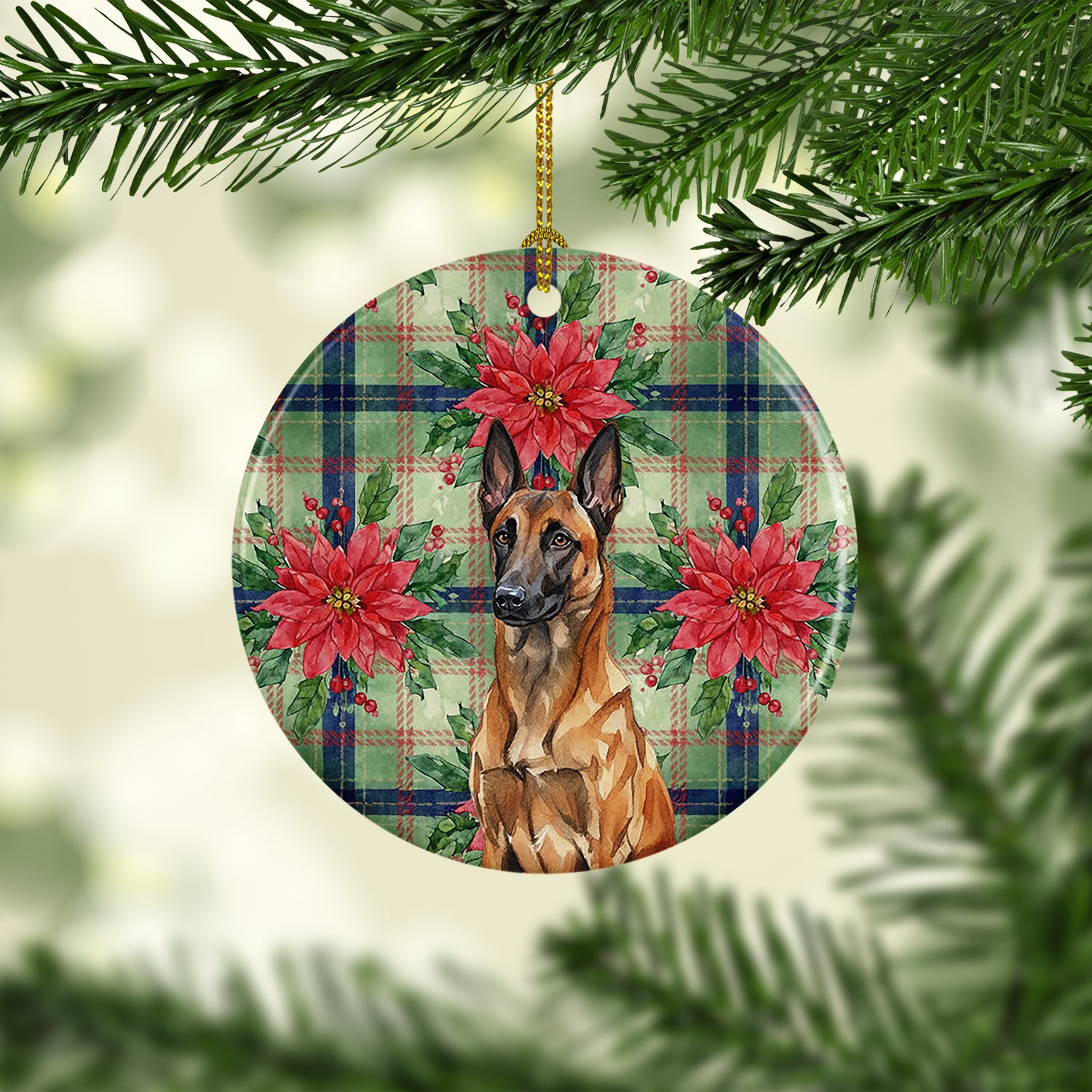 Caroline's Treasures Mahogany Belgian Malinois Christmas PoinsettIas Ceramic Ornament