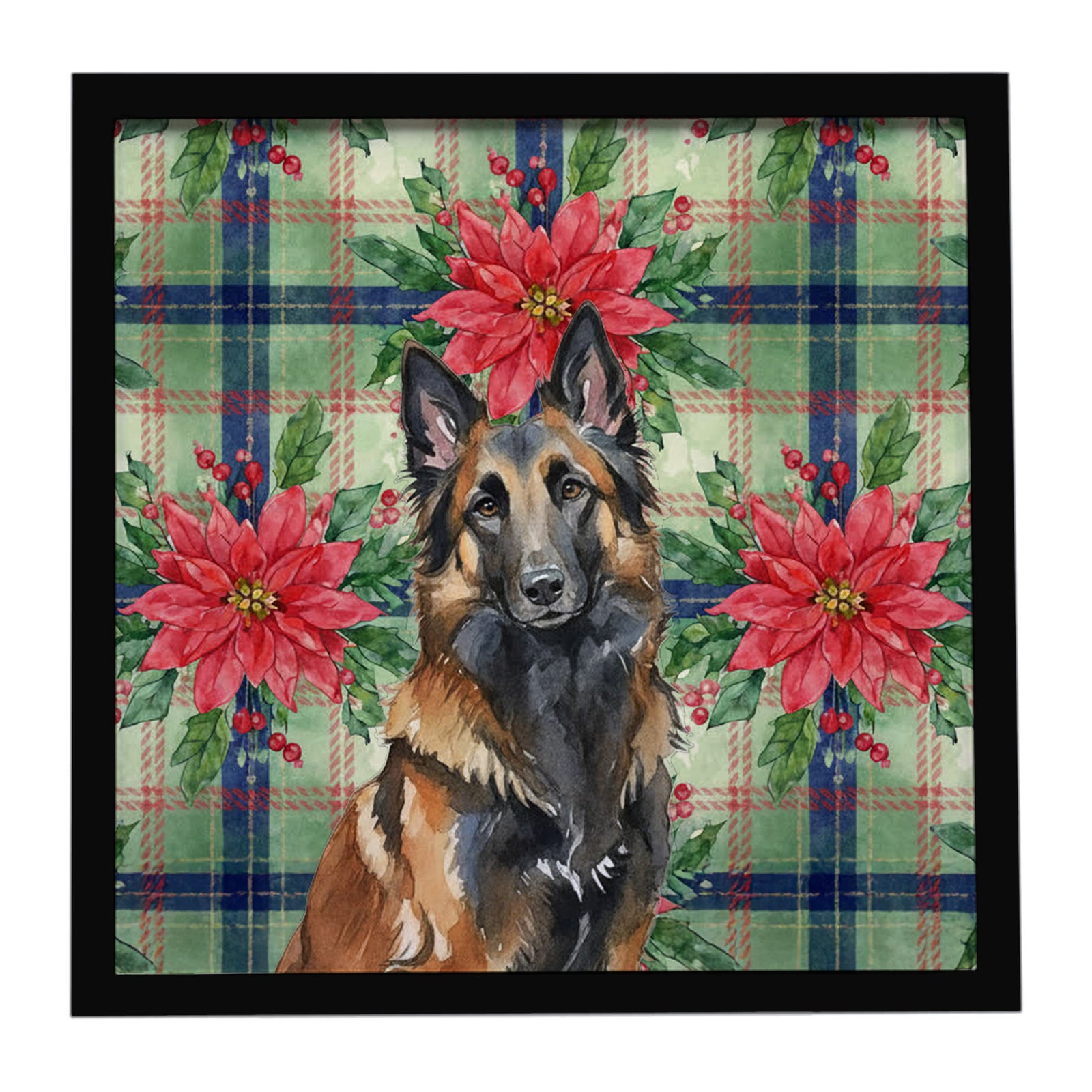 Caroline's Treasures Belgian Tervuren Christmas PoinsettIas Framed Metal Print