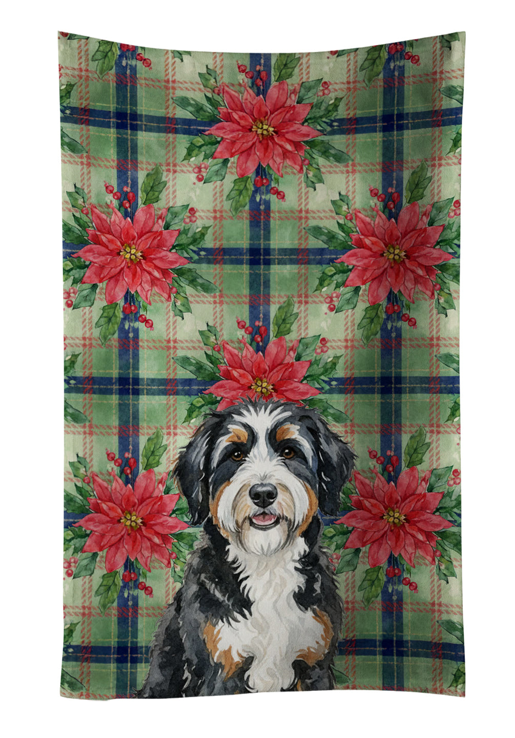 Caroline's Treasures Berndoodle Christmas PoinsettIas Kitchen Towel