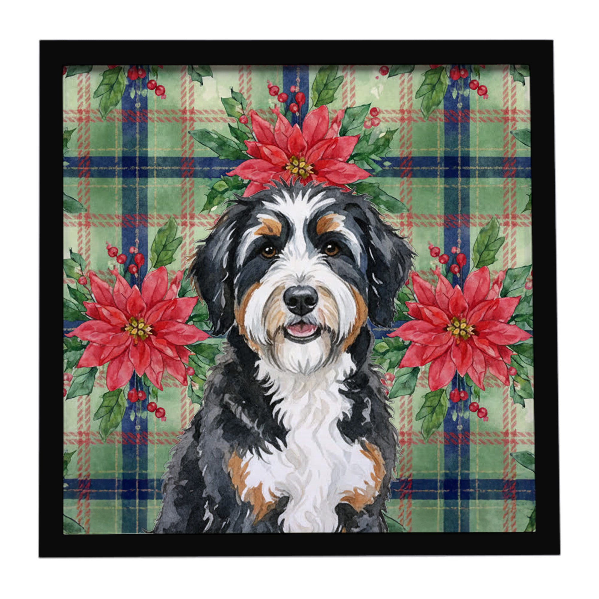 Caroline's Treasures Berndoodle Christmas PoinsettIas Framed Metal Print