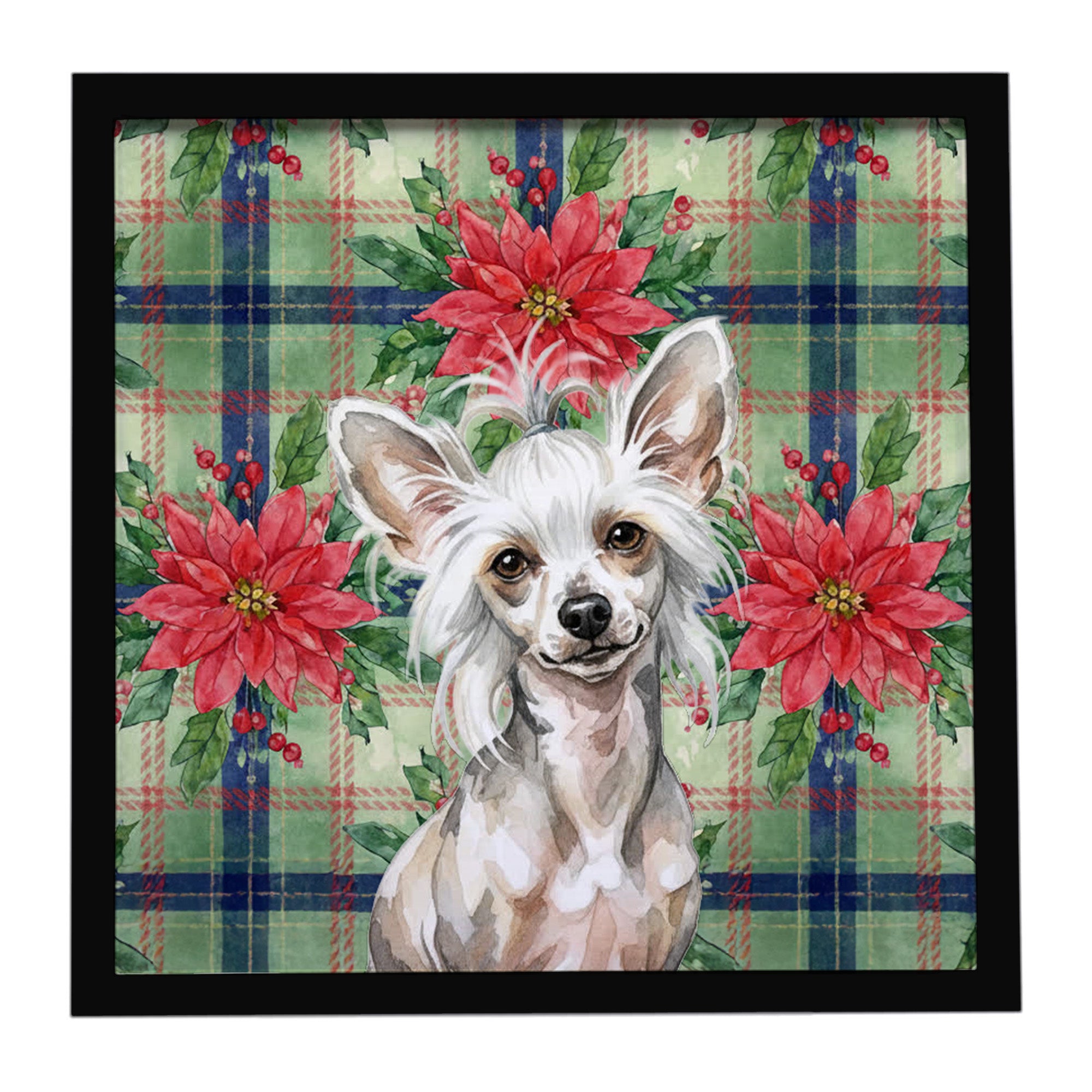 Caroline's Treasures Hairless Mottled Pattern Chinese Crested Christmas PoinsettIas Framed Metal Print