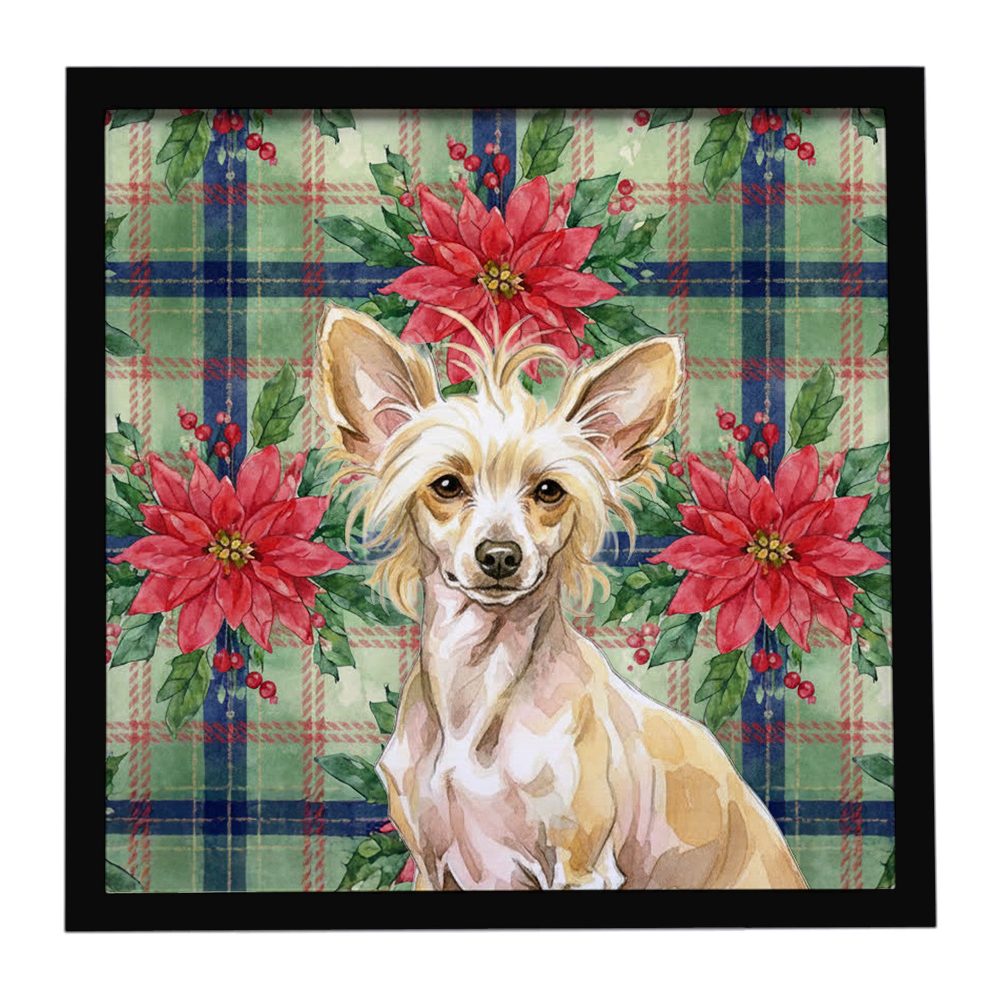 Caroline's Treasures Hairless Palomino Chinese Crested Christmas PoinsettIas Framed Metal Print