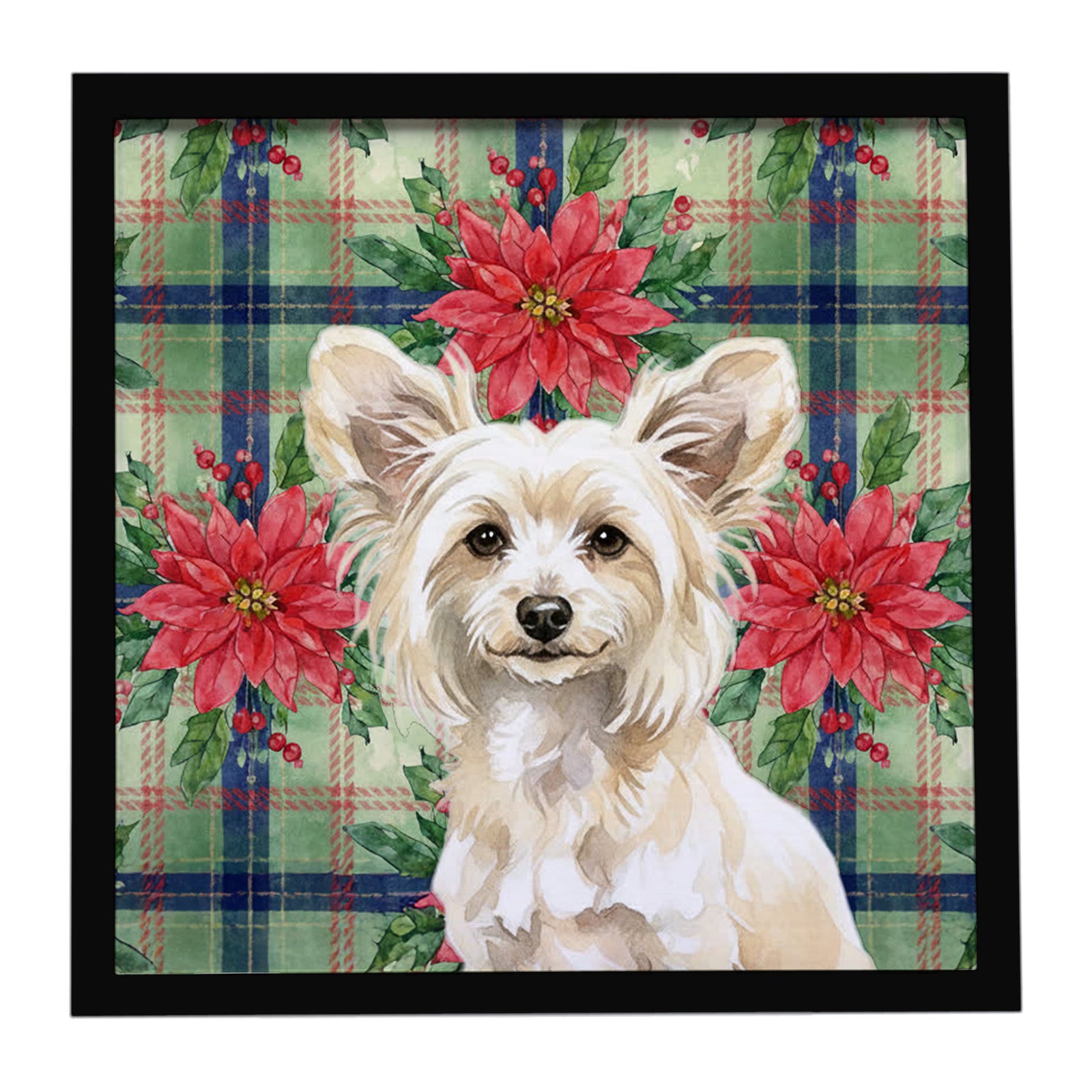 Caroline's Treasures Powderpuff Chinese Crested Christmas PoinsettIas Framed Metal Print