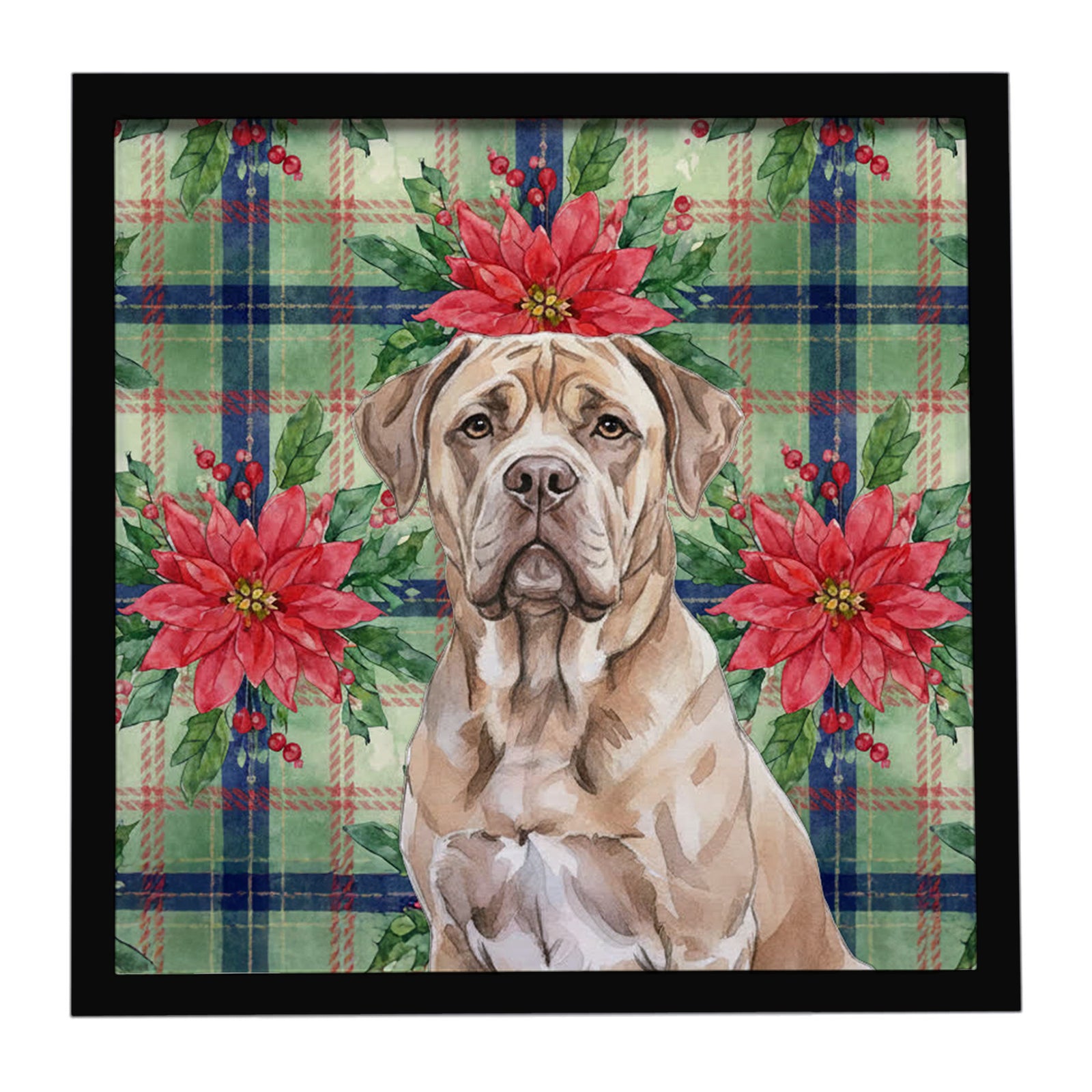 Caroline's Treasures Isabella Dogue de Bordeaux Christmas PoinsettIas Framed Metal Print