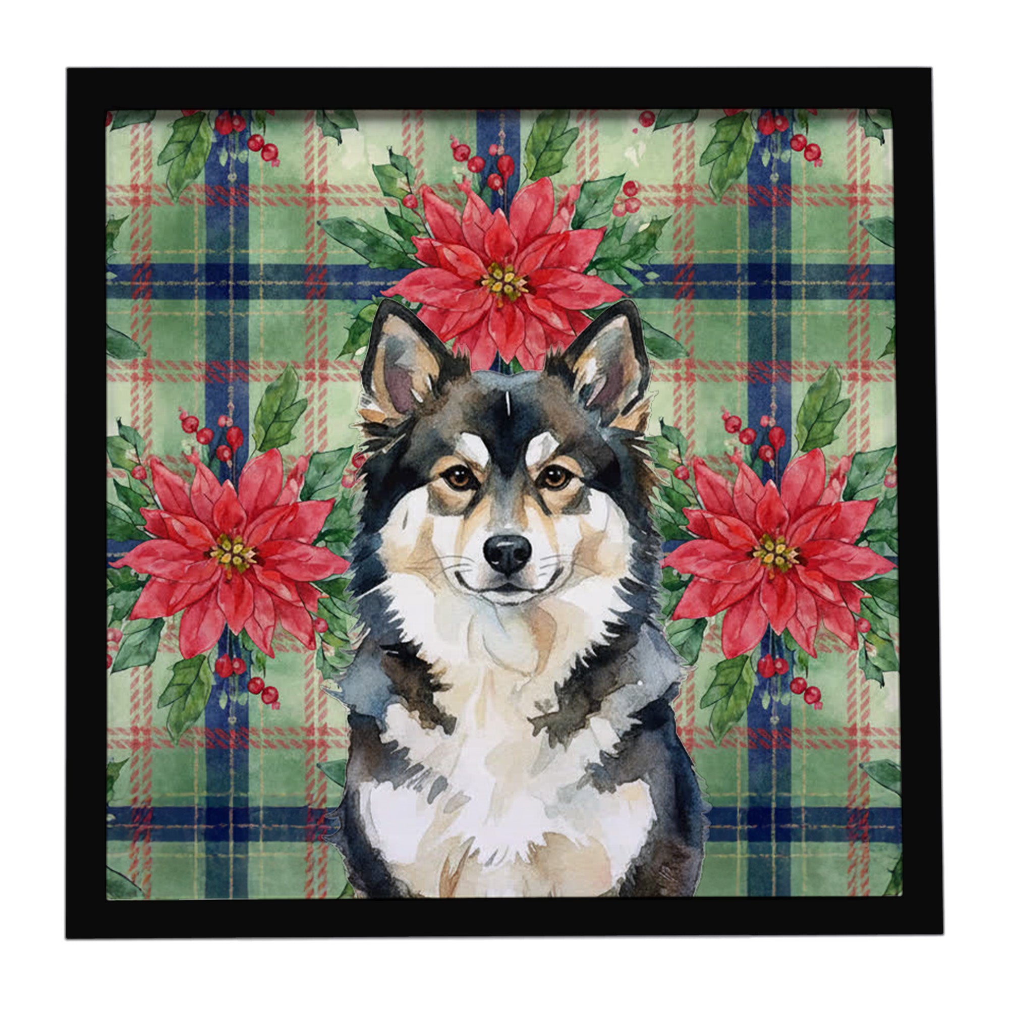 Caroline's Treasures Finnish Lapphund Christmas PoinsettIas Framed Metal Print