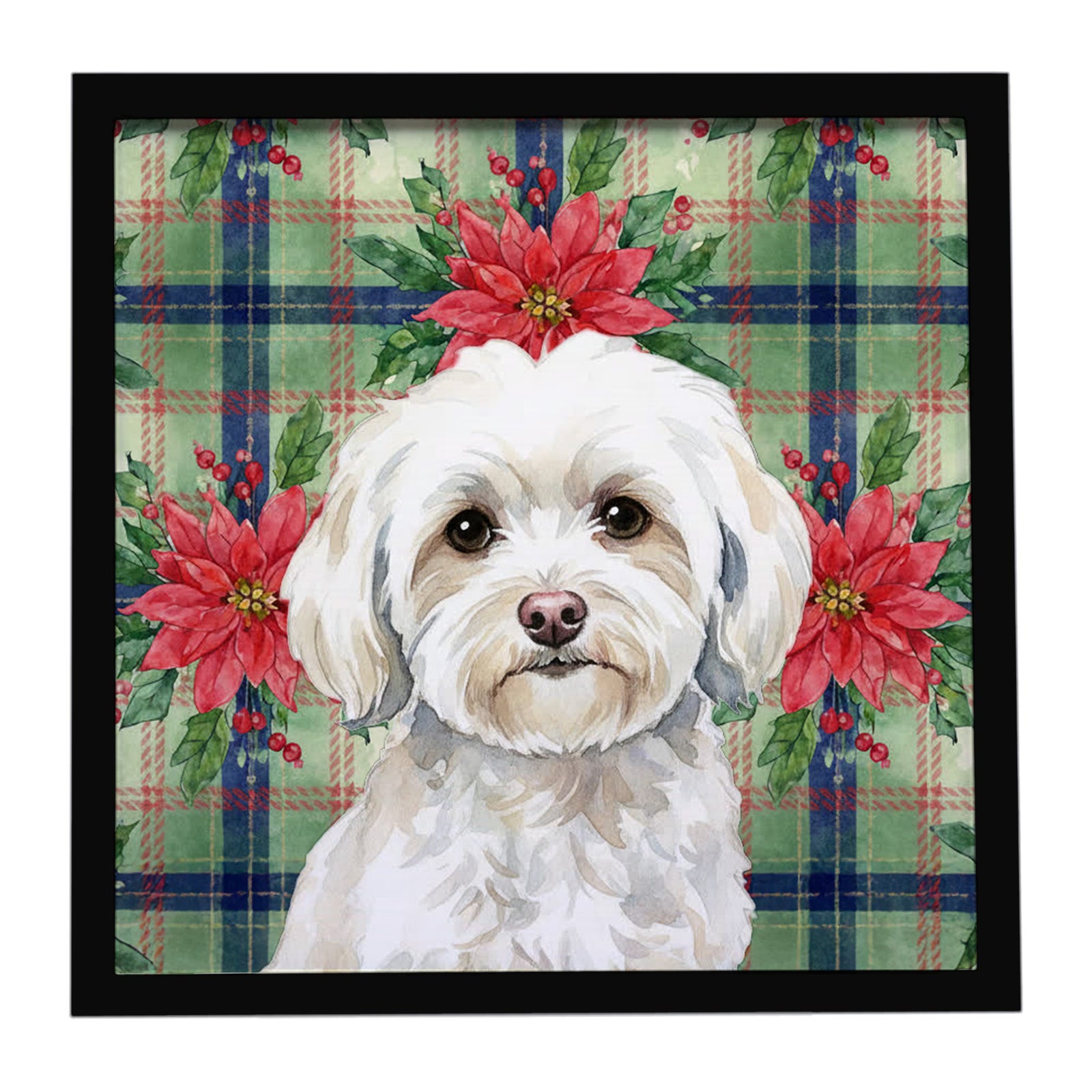 Caroline's Treasures White Havanese Christmas PoinsettIas Framed Metal Print