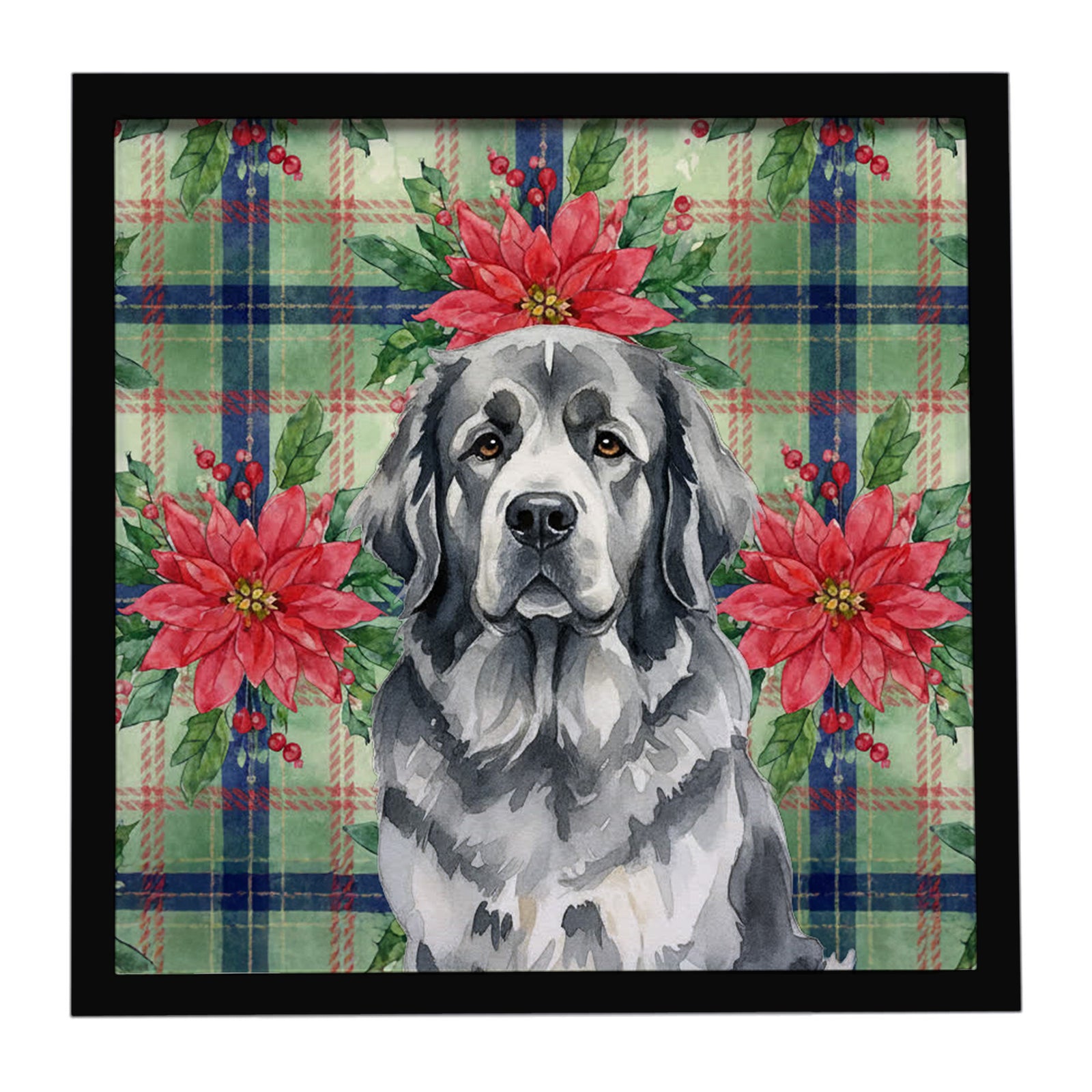 Caroline's Treasures Gray Newfoundland Christmas PoinsettIas Framed Metal Print