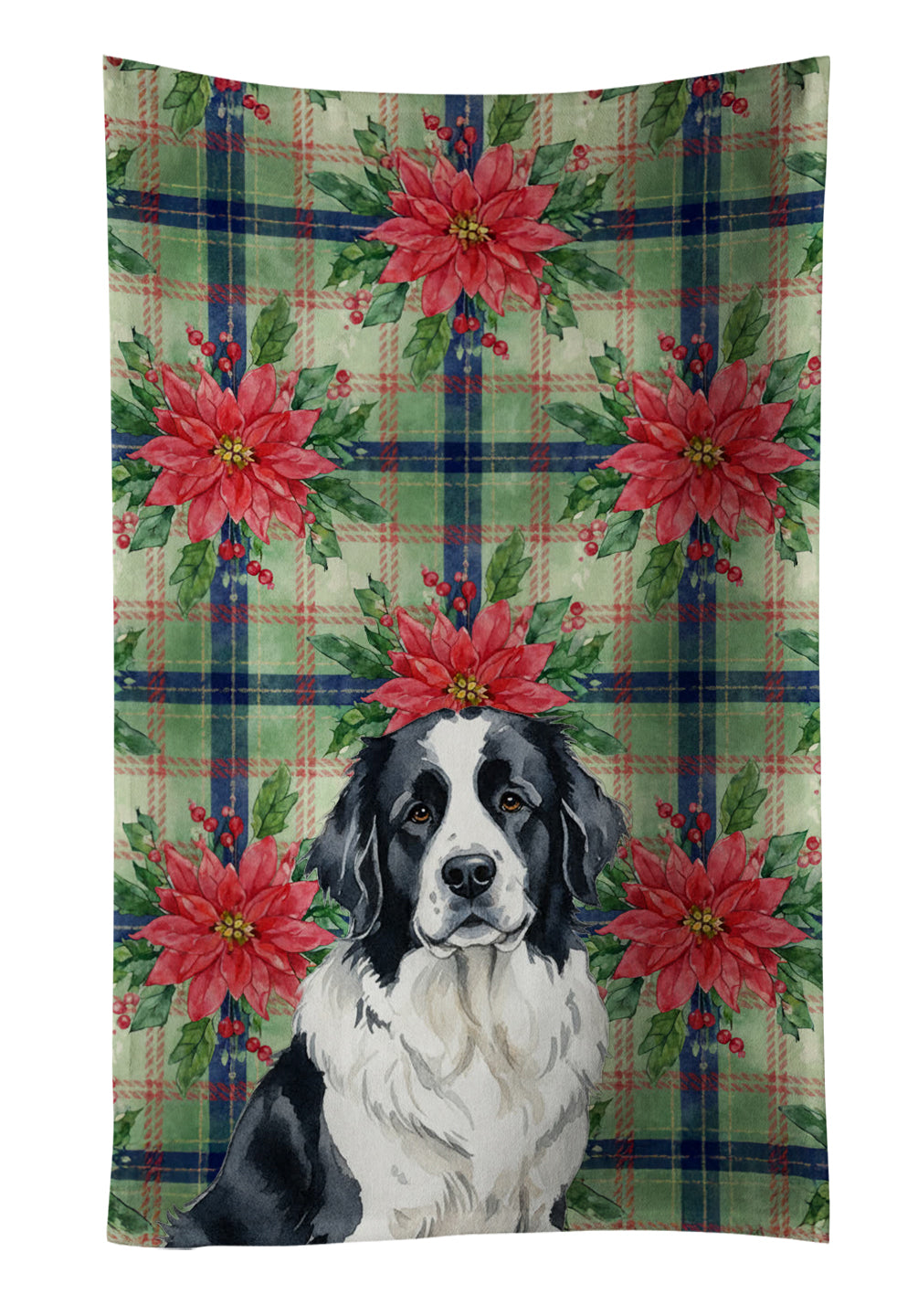 Caroline's Treasures Landseer Newfoundland Christmas PoinsettIas Kitchen Towel