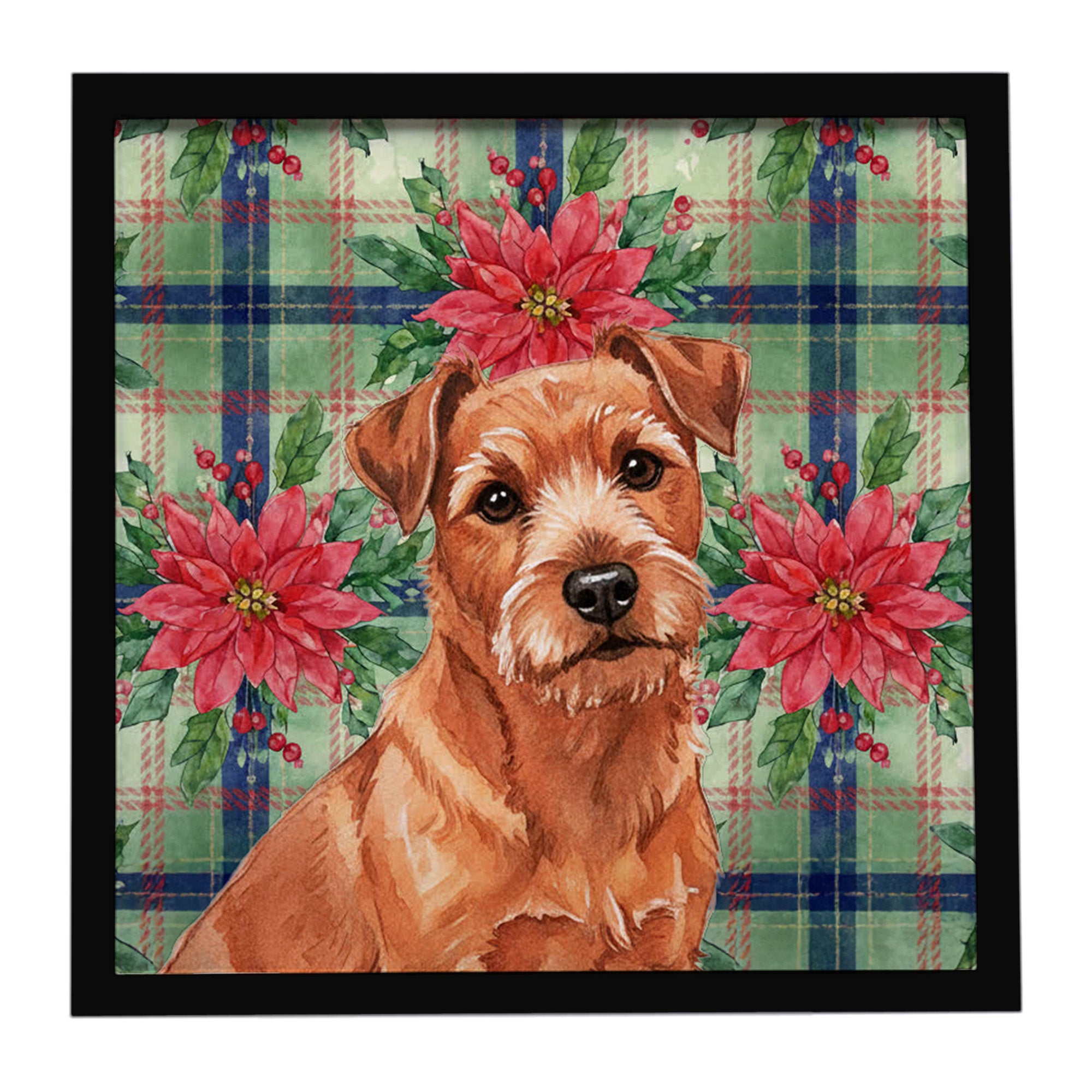 Caroline's Treasures Red Norfolk Terrier Christmas PoinsettIas Framed Metal Print