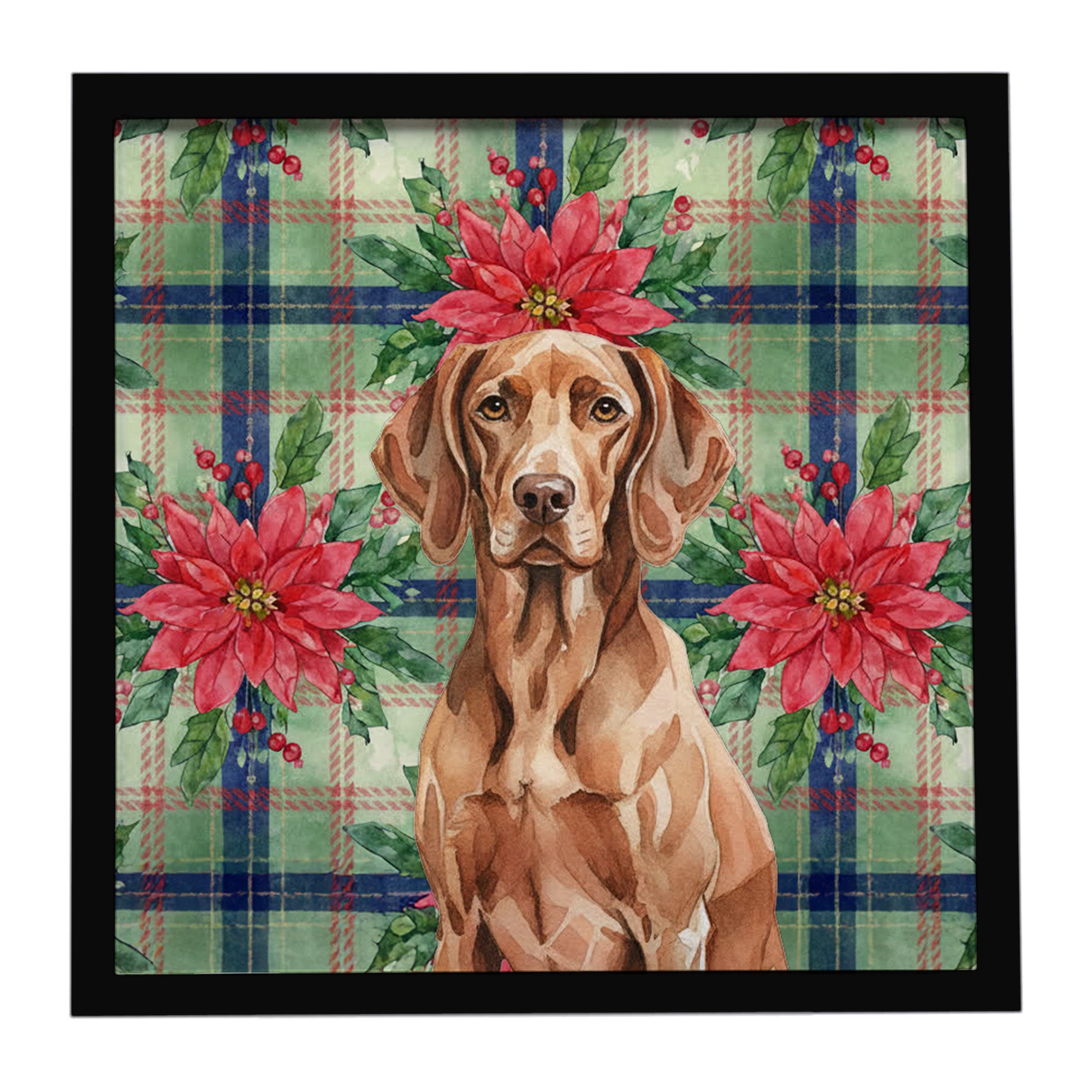 Caroline's Treasures Liver Pointer Christmas PoinsettIas Framed Metal Print