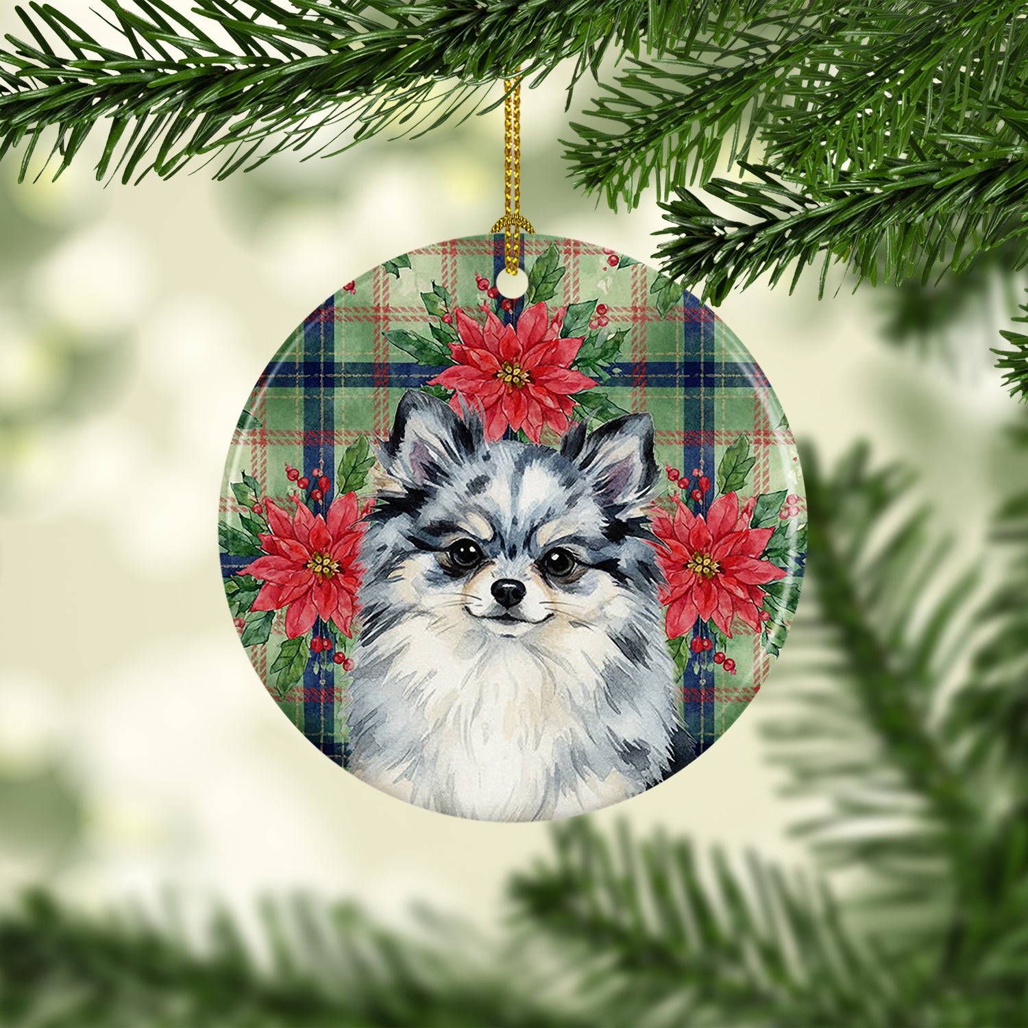 Caroline's Treasures Blue Merle Pomeranian Christmas PoinsettIas Ceramic Ornament