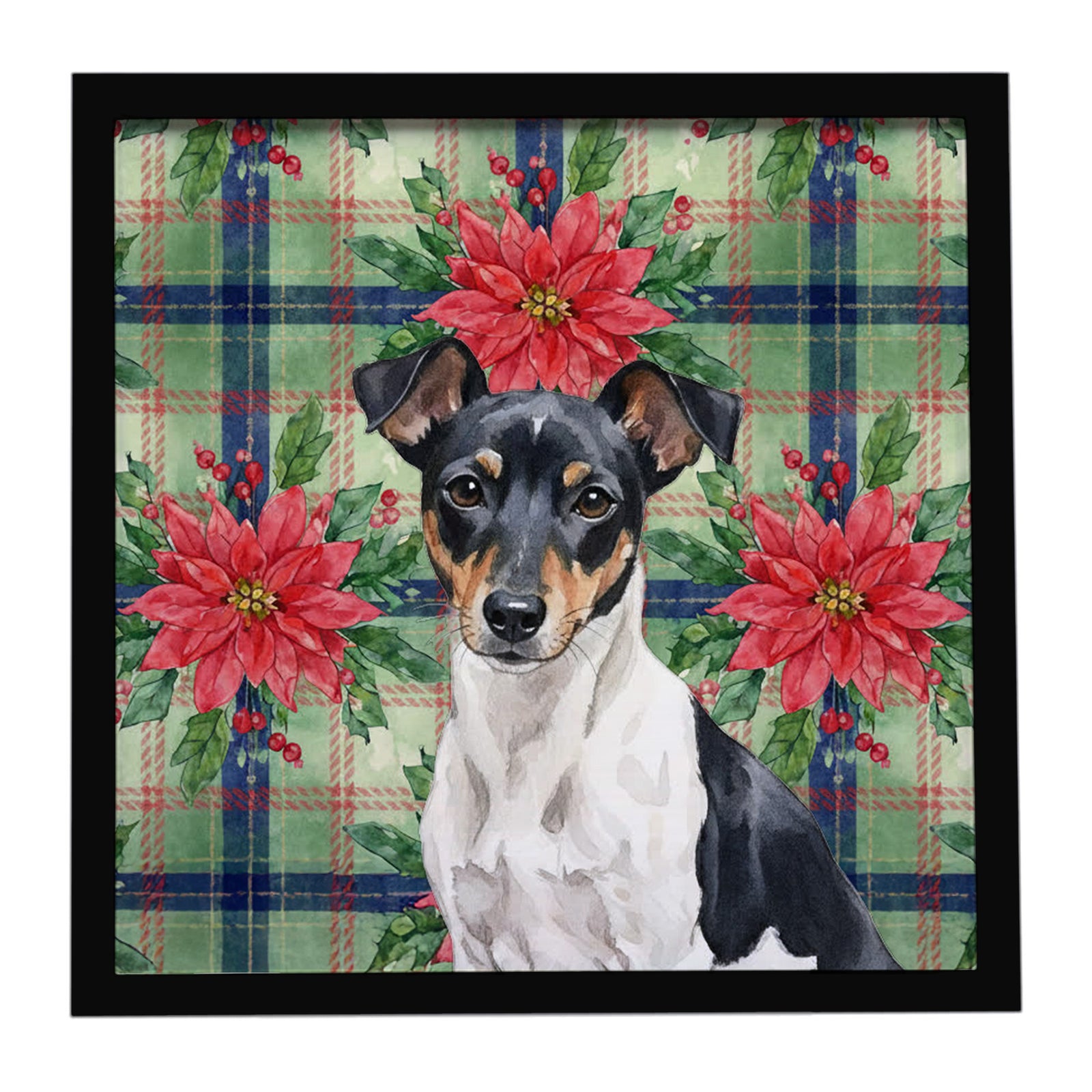 Caroline's Treasures Black and White Rat Terrier Christmas PoinsettIas Framed Metal Print