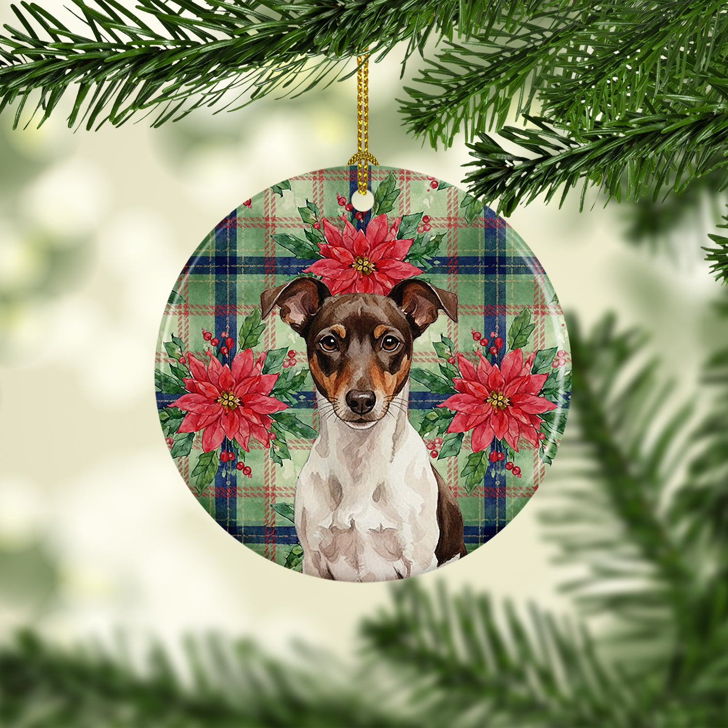 Caroline's Treasures Chocolate and White Rat Terrier Christmas PoinsettIas Ceramic Ornament