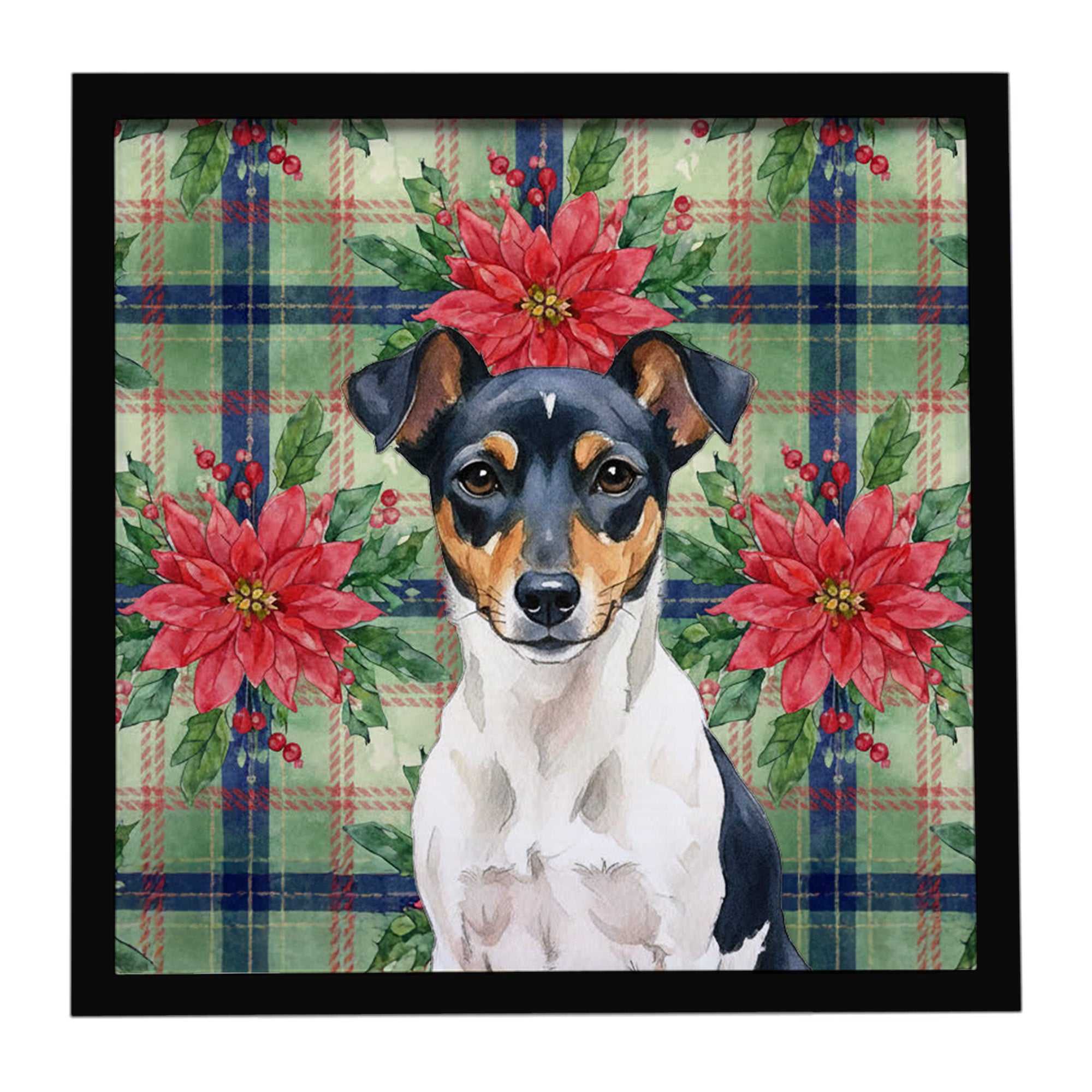 Caroline's Treasures Tricolor Rat Terrier Christmas PoinsettIas Framed Metal Print