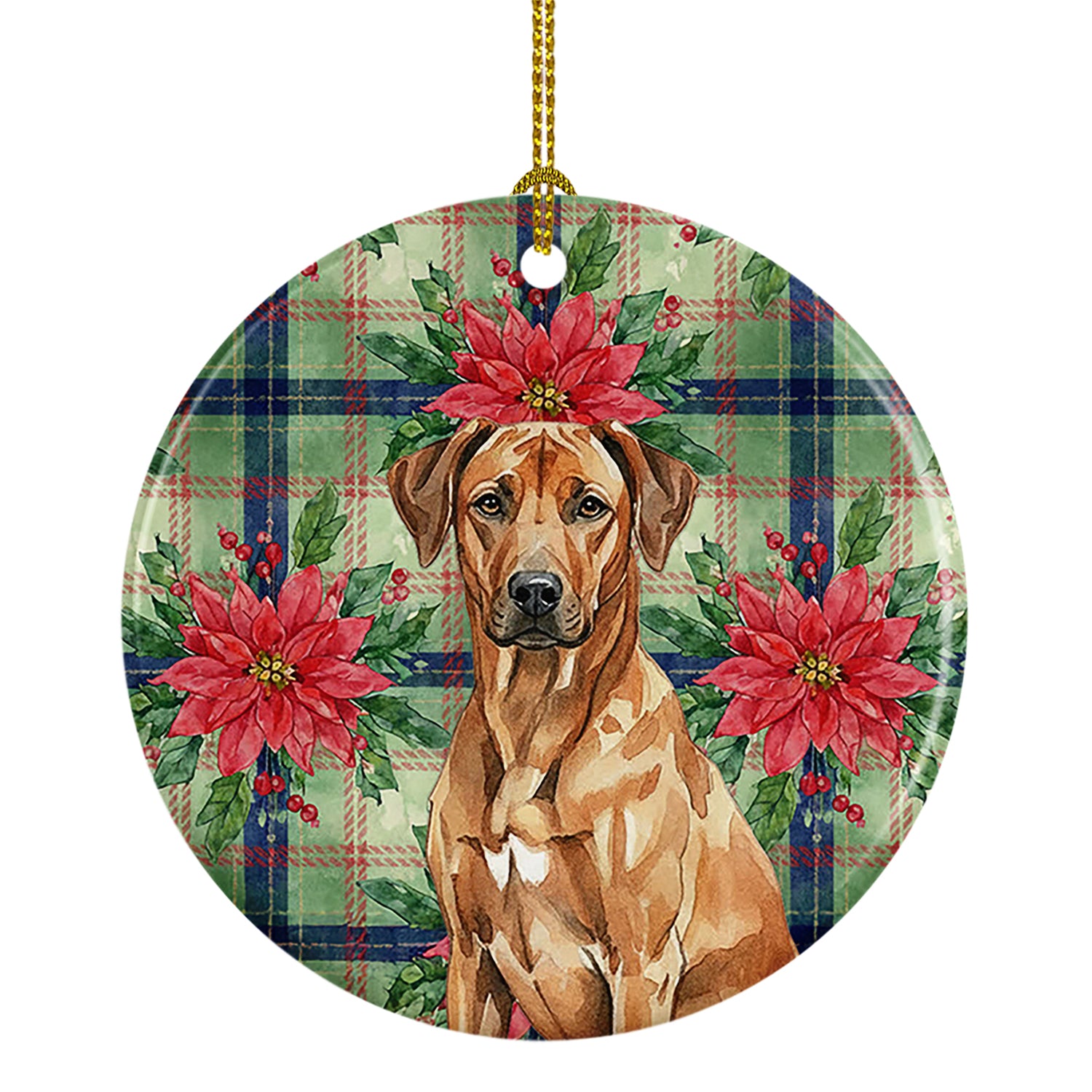 Caroline's Treasures Rhodesian Ridgeback Christmas PoinsettIas Ceramic Ornament