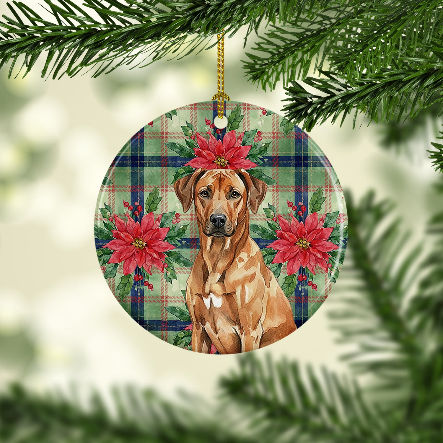 Caroline's Treasures Rhodesian Ridgeback Christmas PoinsettIas Ceramic Ornament