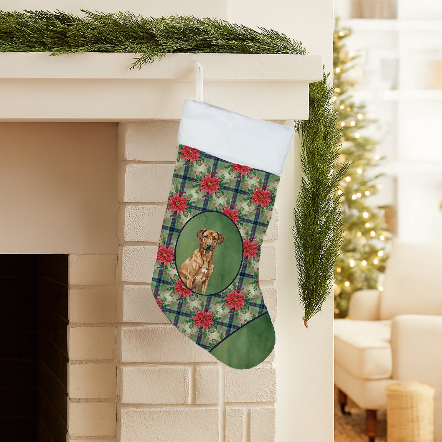 Caroline's Treasures Rhodesian Ridgeback Christmas PoinsettIas Holiday Stocking