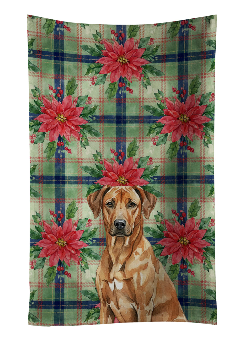 Caroline's Treasures Rhodesian Ridgeback Christmas PoinsettIas Kitchen Towel