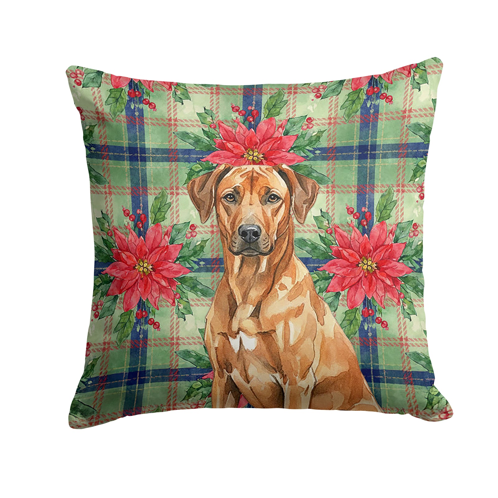 Caroline's Treasures Rhodesian Ridgeback Christmas PoinsettIas Throw Pillow