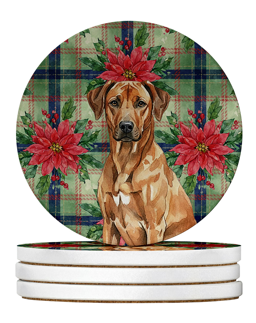 Caroline's Treasures Rhodesian Ridgeback Christmas PoinsettIas Large Sandstone Coasters Pack of 4