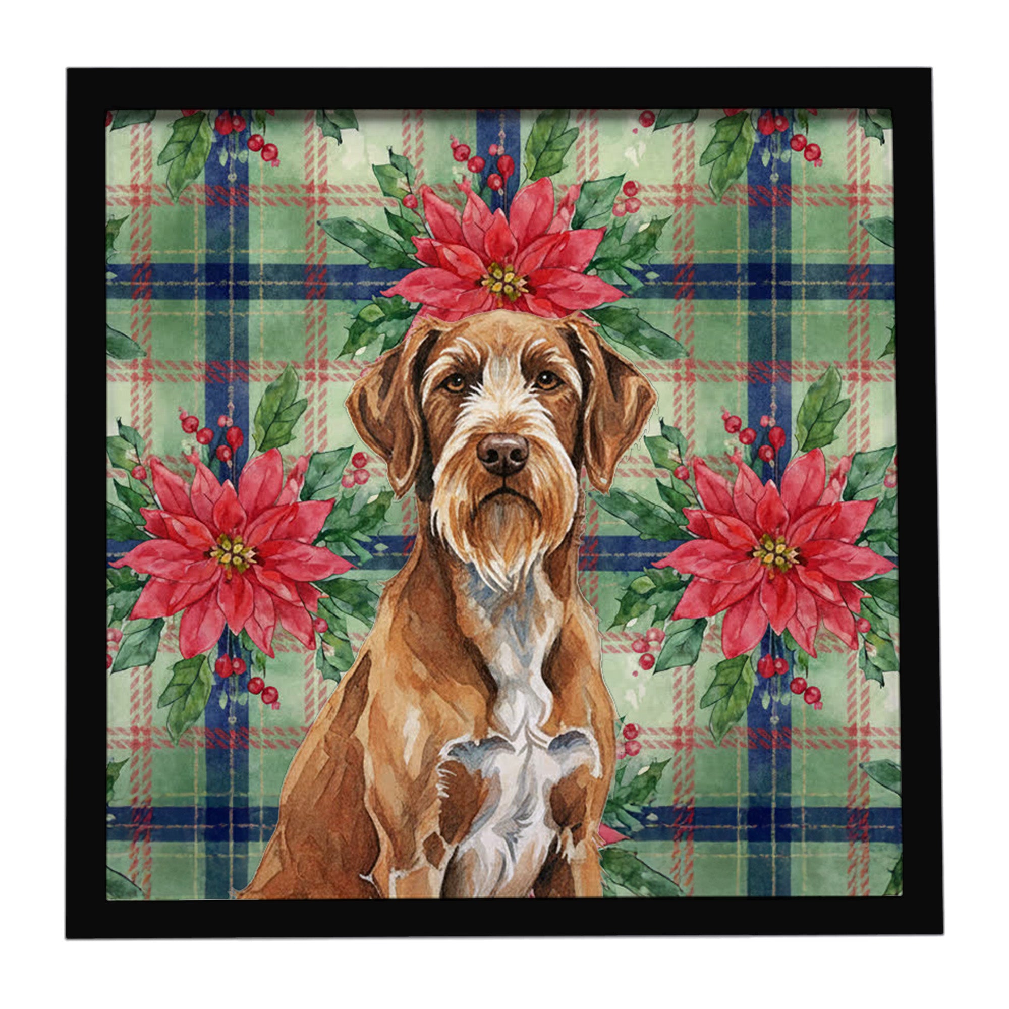 Caroline's Treasures Wirehaired Pointing Griffon Christmas PoinsettIas Framed Metal Print