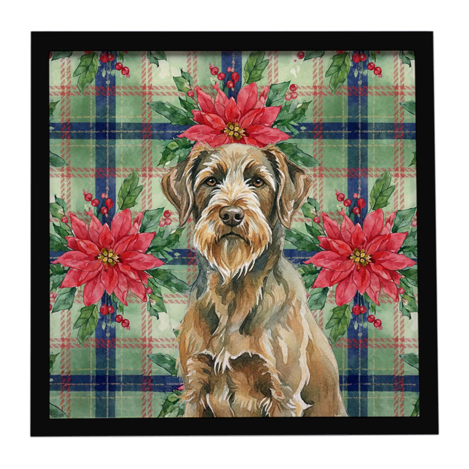 Caroline's Treasures Chestnut Wirehaired Pointing Griffon Christmas PoinsettIas Framed Metal Print