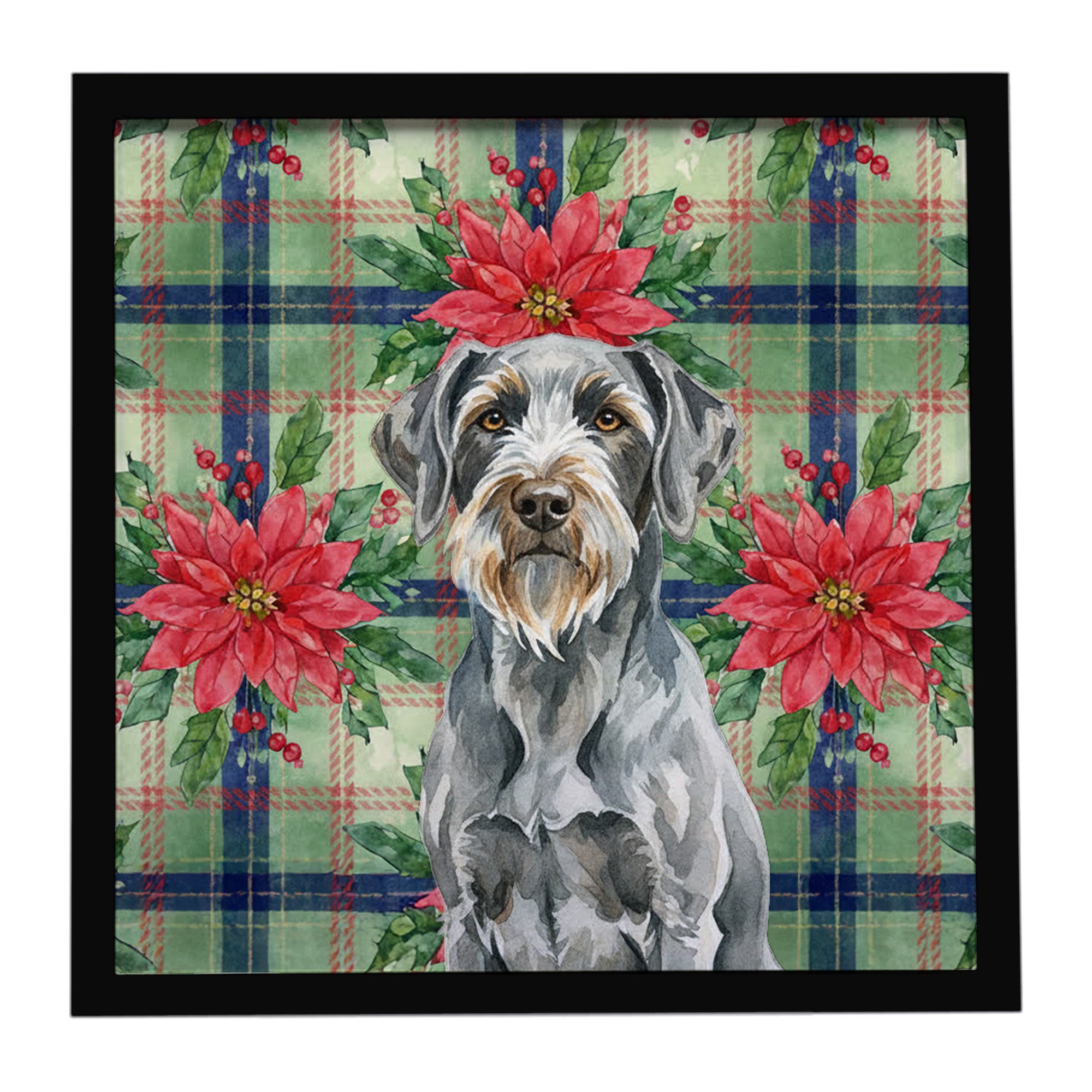 Caroline's Treasures Steel Gray Wirehaired Pointing Griffon Christmas PoinsettIas Framed Metal Print