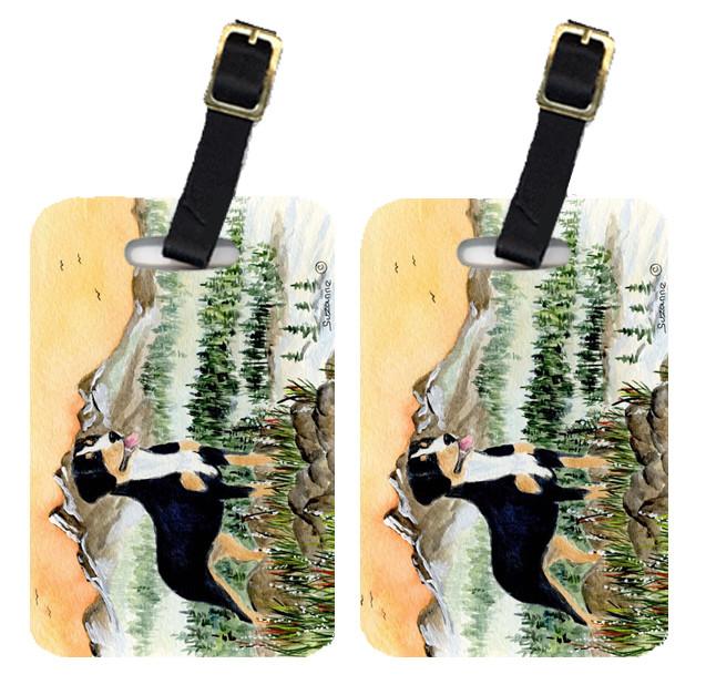 Pair of 2 Entlebucher Mountain Dog Luggage Tags by Caroline&#39;s Treasures