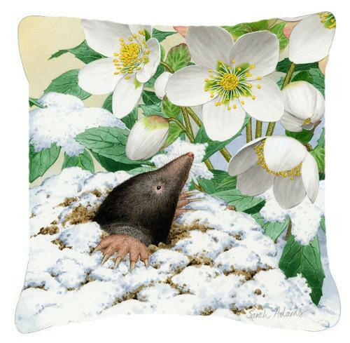Mole by Sarah Adams Canvas Decorative Pillow ASAD0387PW1414 - the-store.com