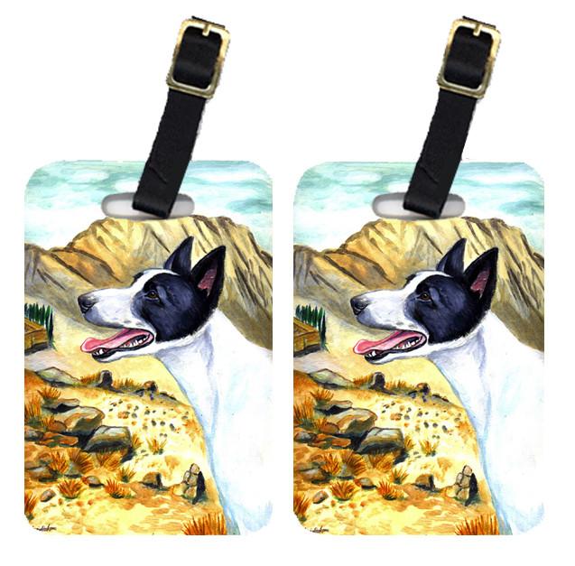 Caroline's Treasures Canaan Dog Luggage Tags – Set of 2 Durable Bag Tags with Straps
