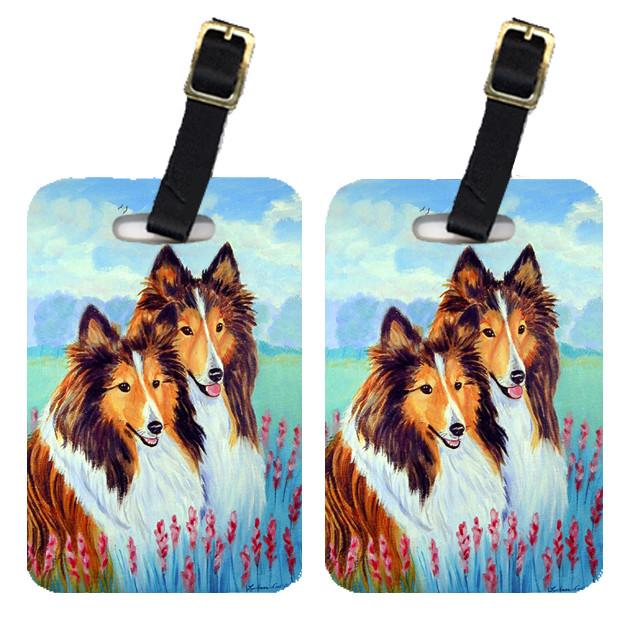 Pair of 2 Two Sable Shelties Luggage Tags by Caroline&#39;s Treasures