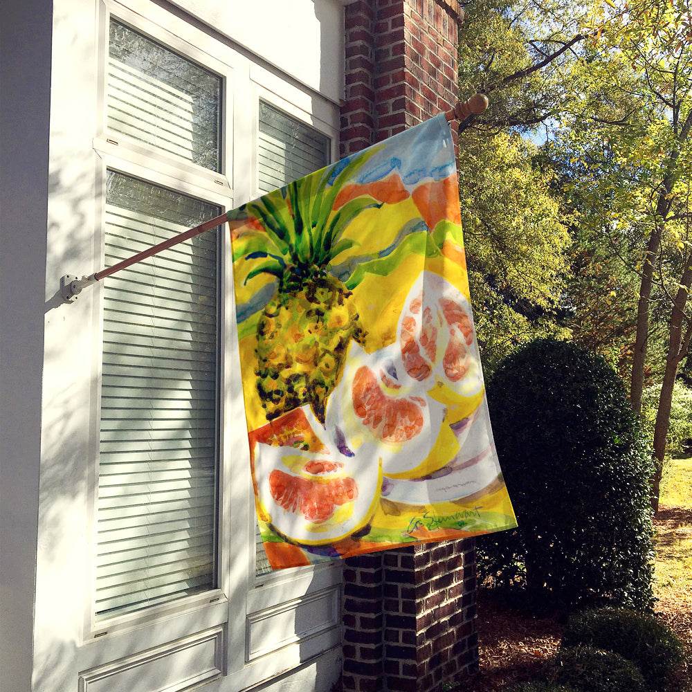 Caroline's Treasures Pineapple Flag Canvas House Size