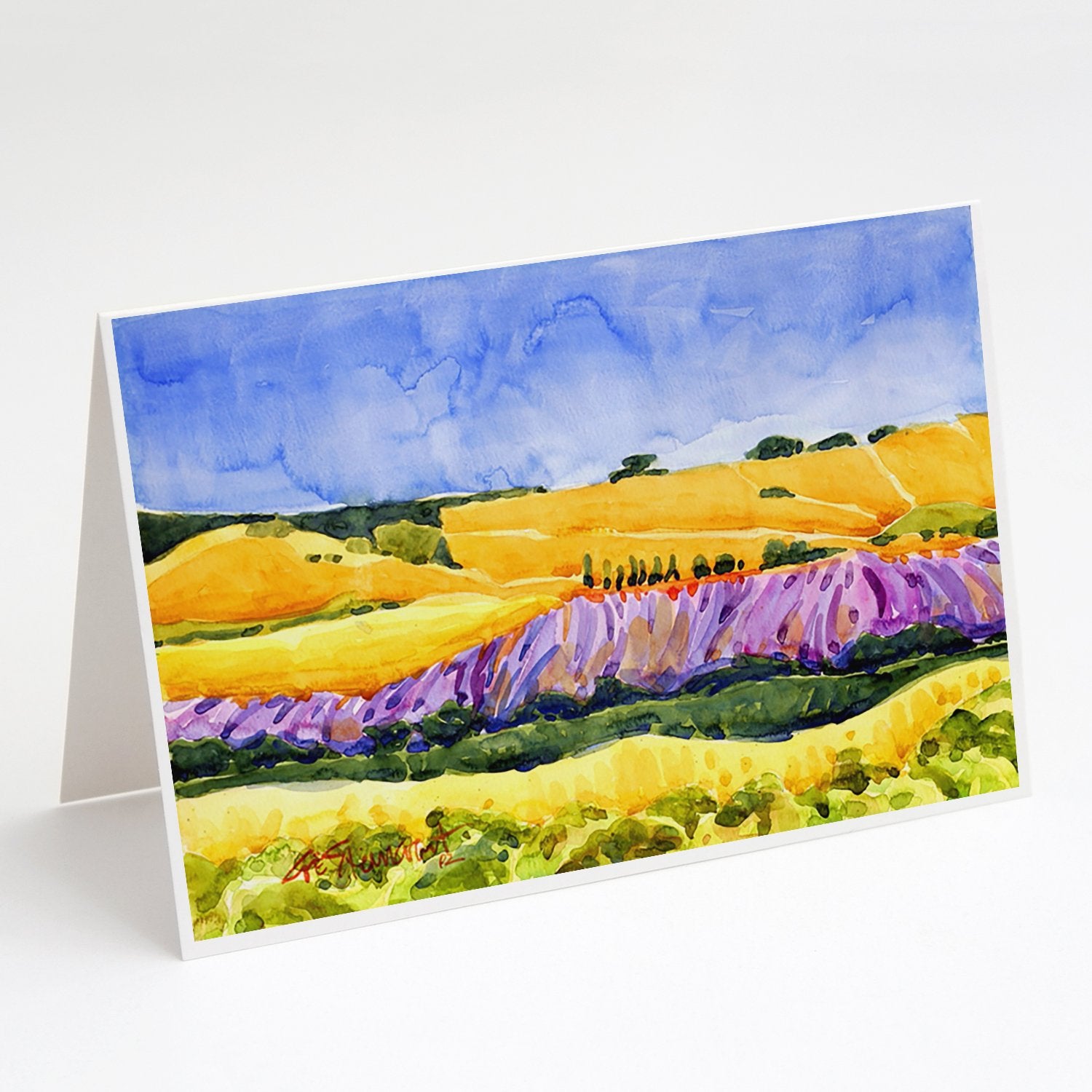 Buy this Landscape Greeting Cards and Envelopes Pack of 8