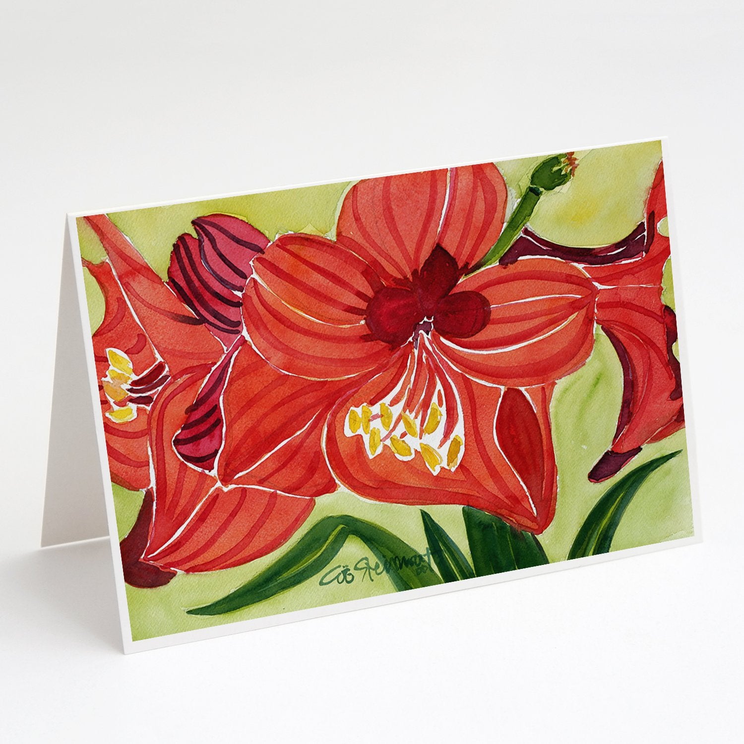 Buy this Flower - Amaryllis Greeting Cards and Envelopes Pack of 8